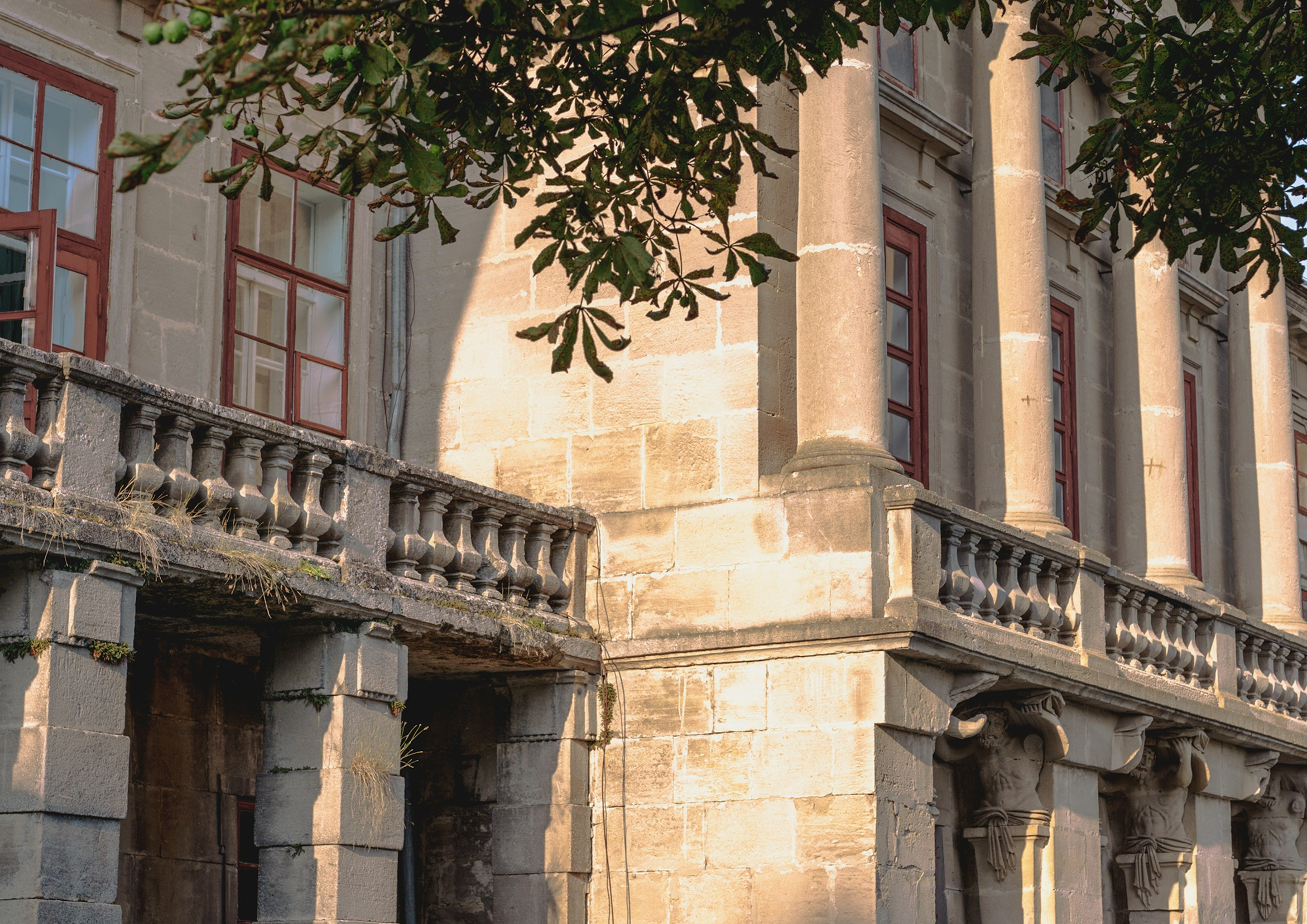 An exterior view of a historic building with tall columns, large windows with red frames, a stone balustrade, and overhanging green leafy branches.
