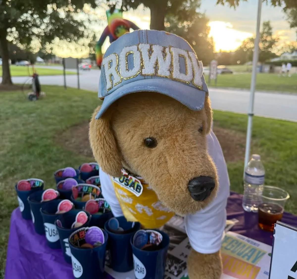 A stuffed dog wearing a blue baseball cap with the word 'CROWDED' in glittery letters and a yellow bandana with 'USAB' logo, standing behind a table with purple tablecloth, displaying small cups branded 'USAB' filled with multicolored objects, outdoors during sunset.