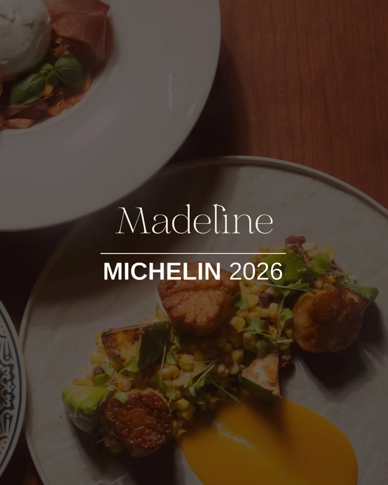 Just a mere 4 months after opening our doors, we&rsquo;re beyond proud to be recommended in the 2026 Michelin Guide. We don&rsquo;t quite have the words to describe what an honor this is, but we are deeply moved.
 This achievement is a reflection of 