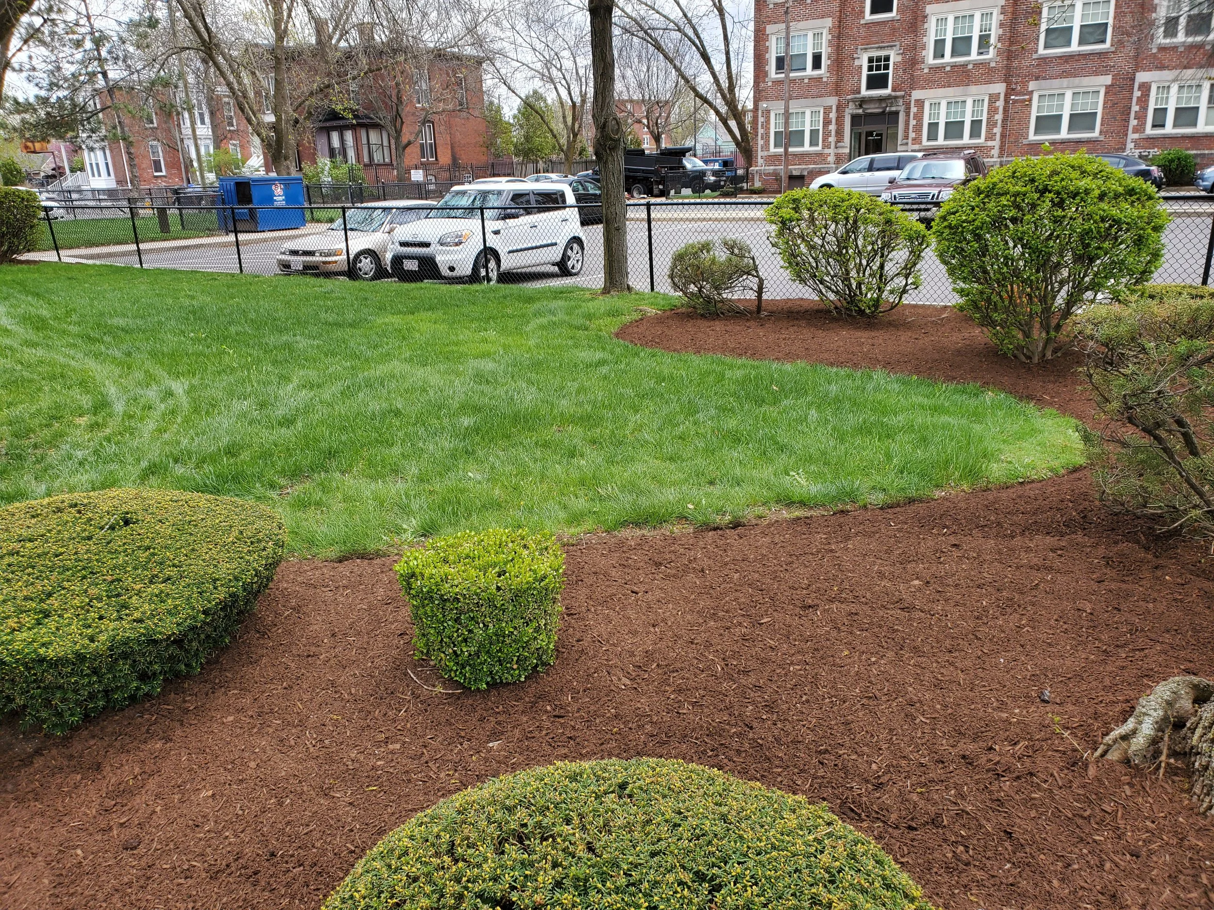 A landscaped area with green grass, small bushes, and trees in the background, surrounded by a black metal fence, with parked cars and residential buildings visible beyond the fence.
