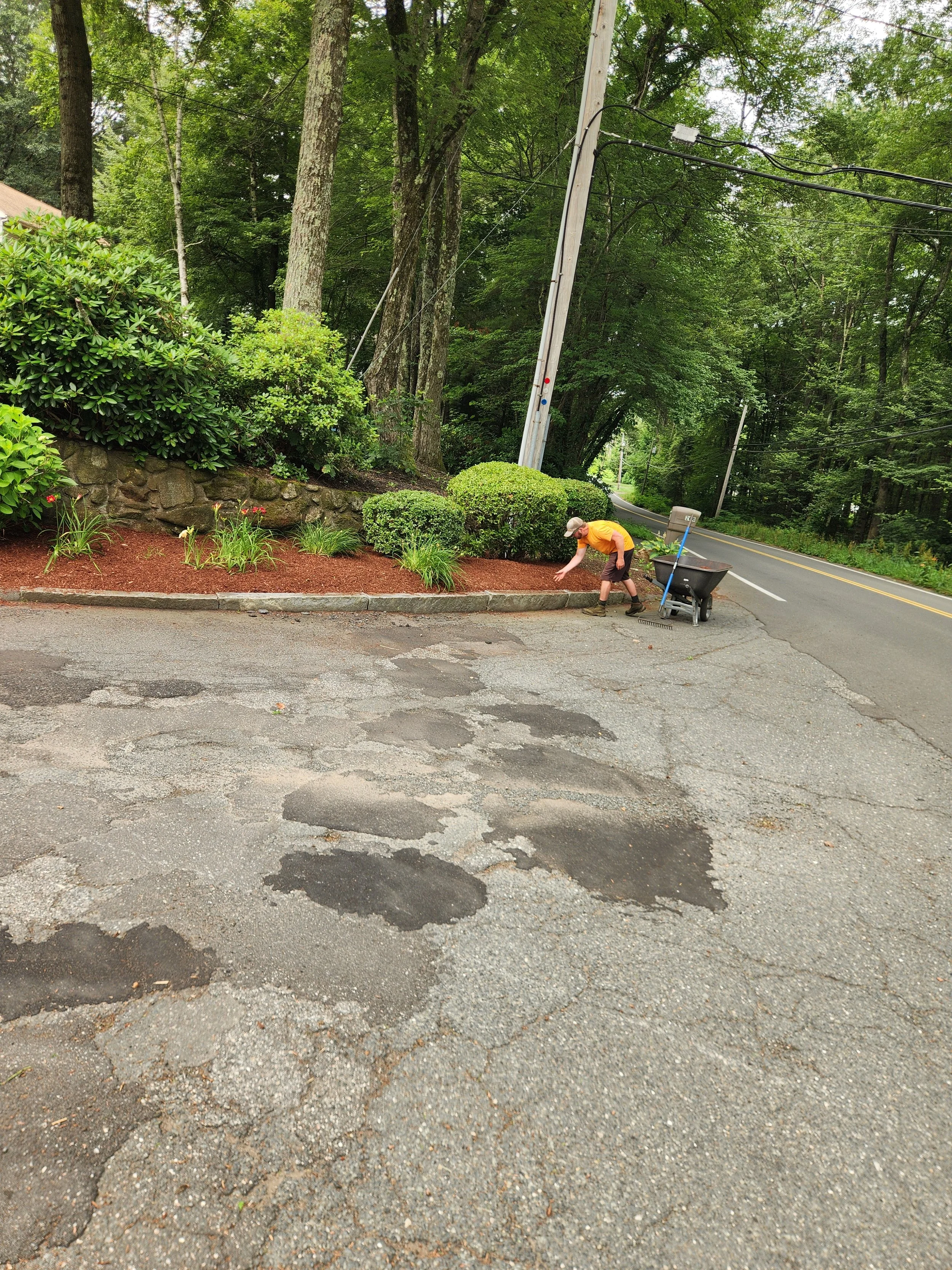 Person mulching in a landscaped garden on the side of a rural road, with trees and utility poles in the background.