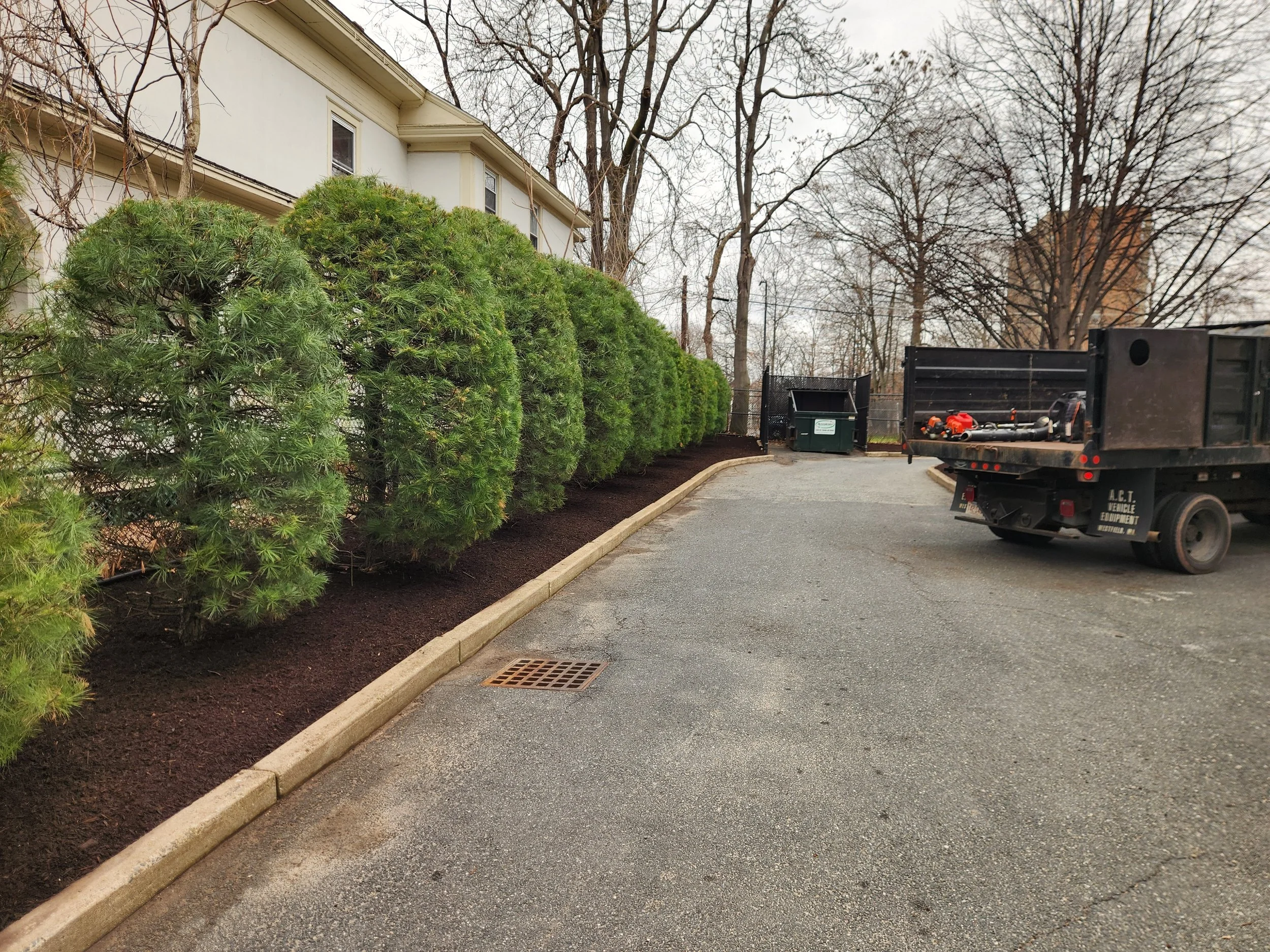 Newly planted shrubs along a curved border of dark soil with a concrete curb, backed by a white building, with a truck parked on a gravel surface nearby, in a leafless wooded area.