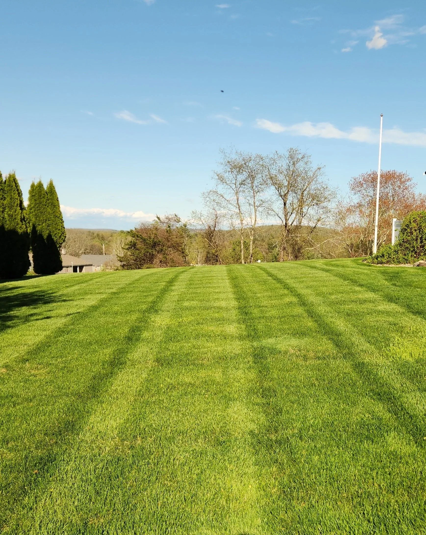 A well-maintained grassy field with visible mowing lines, surrounded by trees, and a clear blue sky with a few clouds.