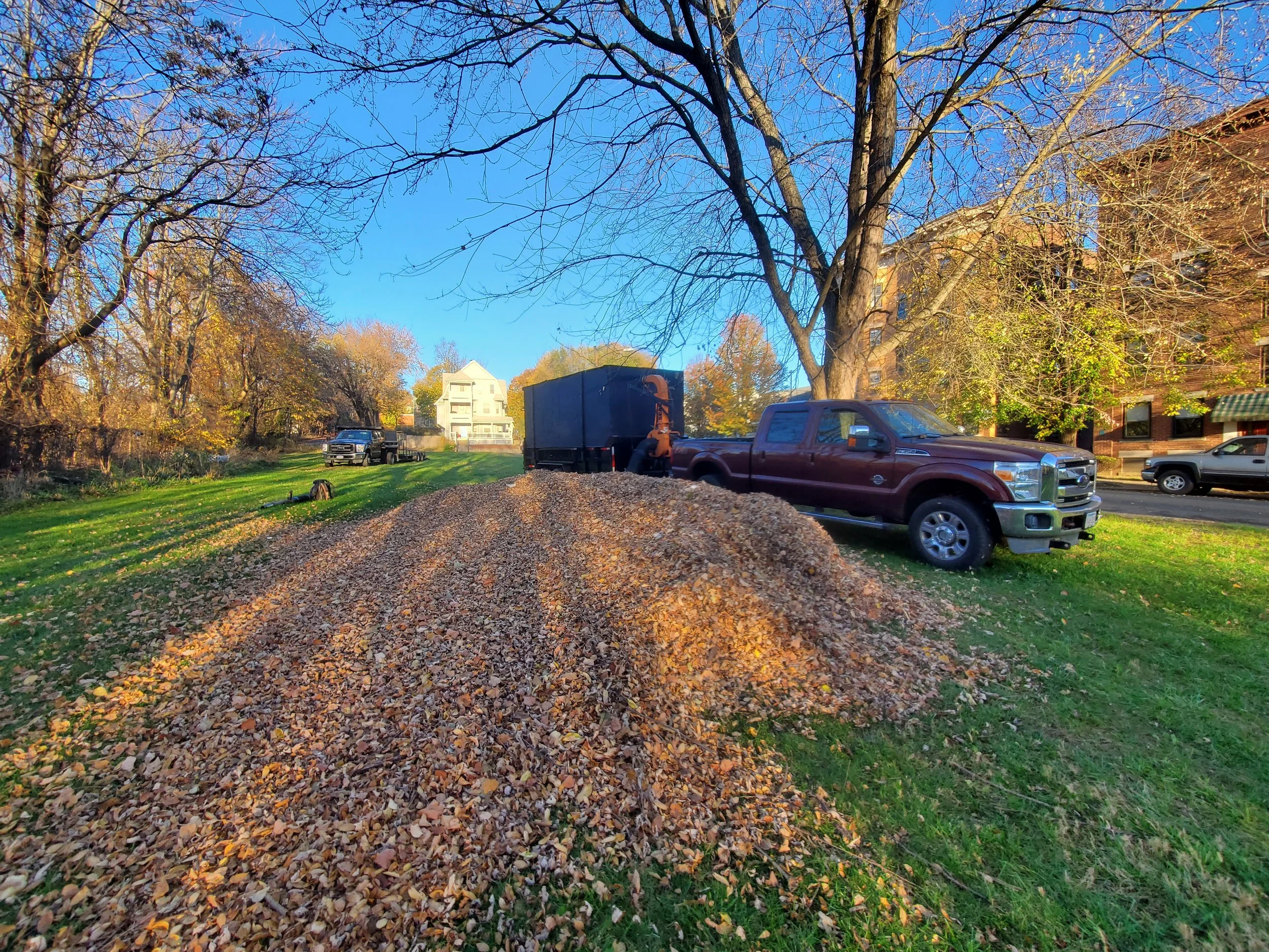 A large pile of fallen leaves on a grassy area in a park or yard, with a leaf vacuum machine and several parked trucks nearby, and trees with some remaining autumn leaves against a clear blue sky.