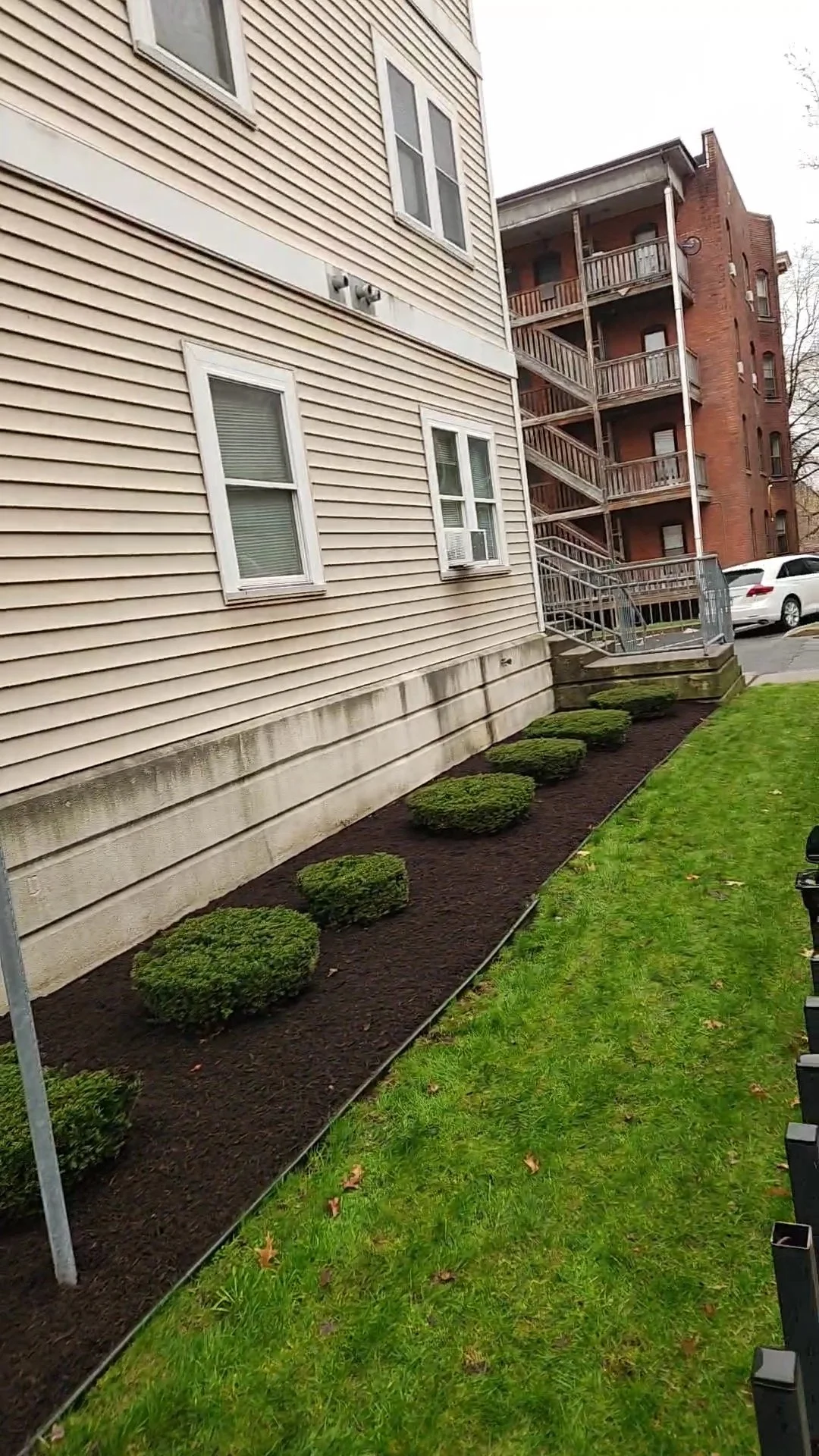 A freshly landscaped flower bed with small, round bushes along the foundation of a beige, vinyl-sided apartment building with three windows, with the background showing a red brick building with fire escape stairs, and a parking lot with some cars.