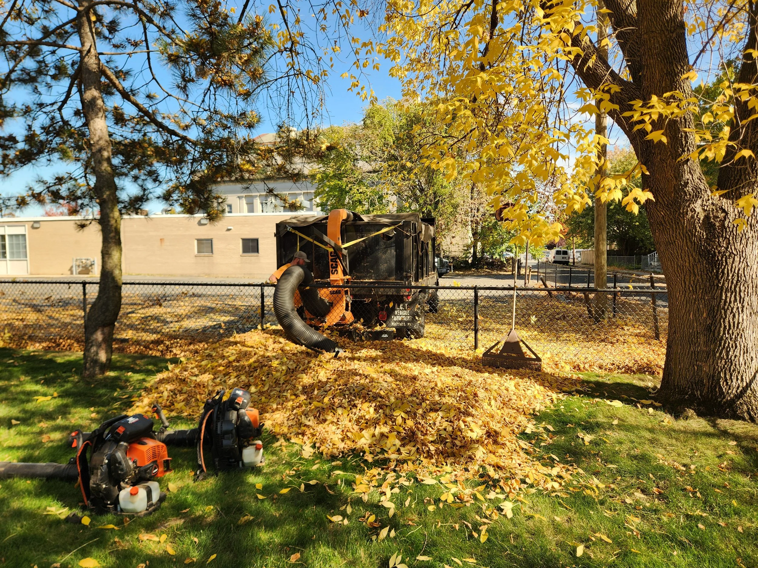 A person using leaf blowing equipment to clear fallen leaves into a pile in a yard, with autumn trees and a black fence in the background.