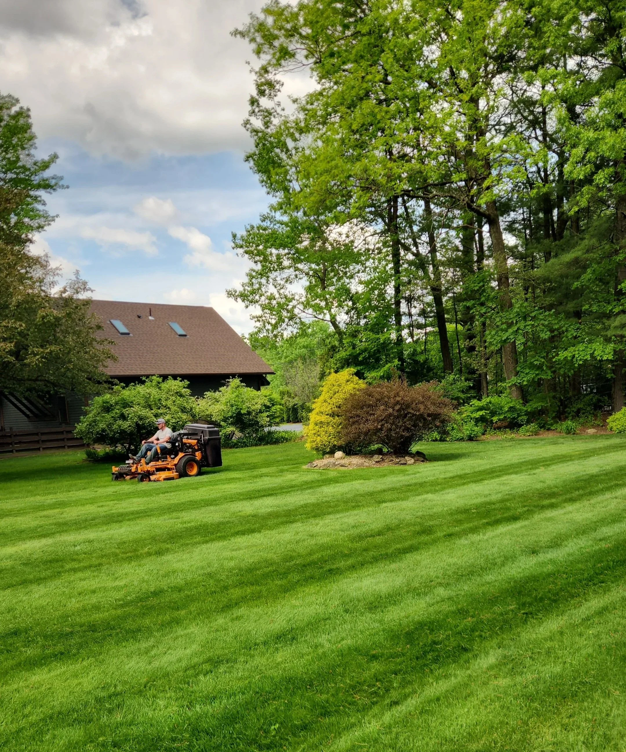 A person mowing a lush green lawn with a riding lawn mower in a backyard surrounded by trees and bushes.