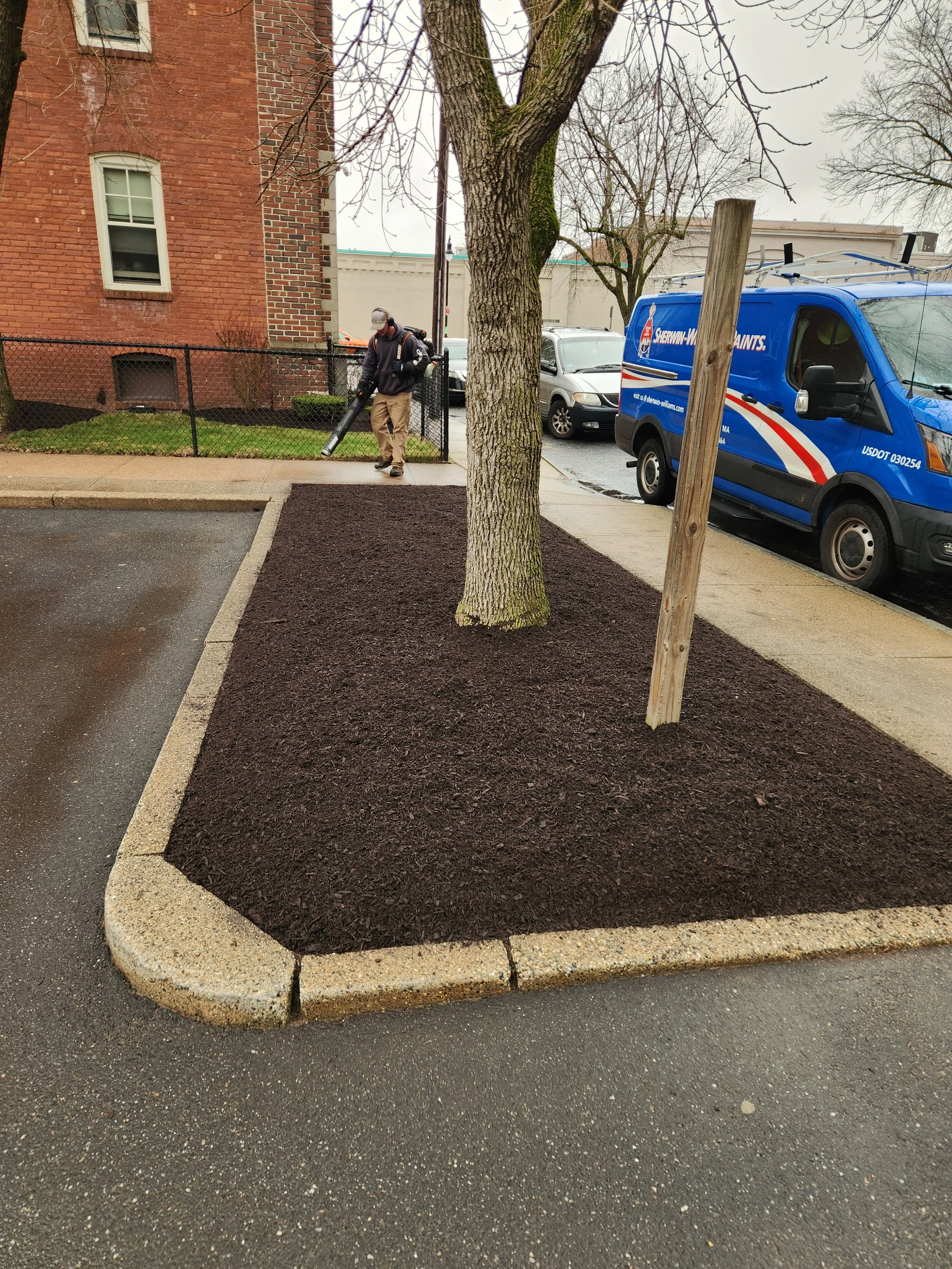 A newly landscaped small green space with a single tree inside a curb, surrounded by fresh dark mulch. A man is using a leaf blower nearby, and there are parked vehicles, including a blue service van, along the street.