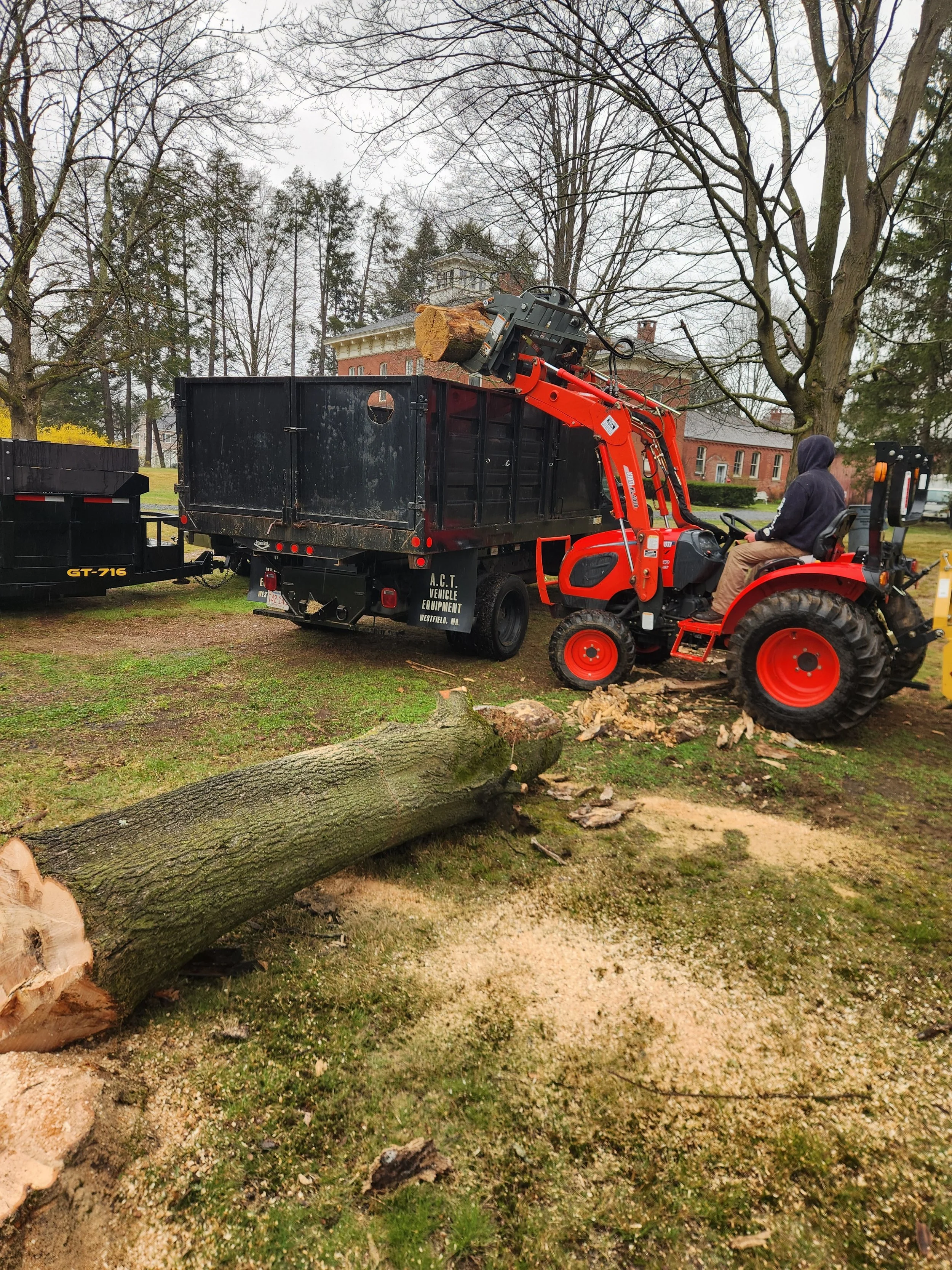 A man operating a small red tractor with a front loader attachment, cutting a fallen tree on a grassy area with dirt and wood chips, near a black pickup truck and a trailer, in front of a large brick building surrounded by leafless trees.