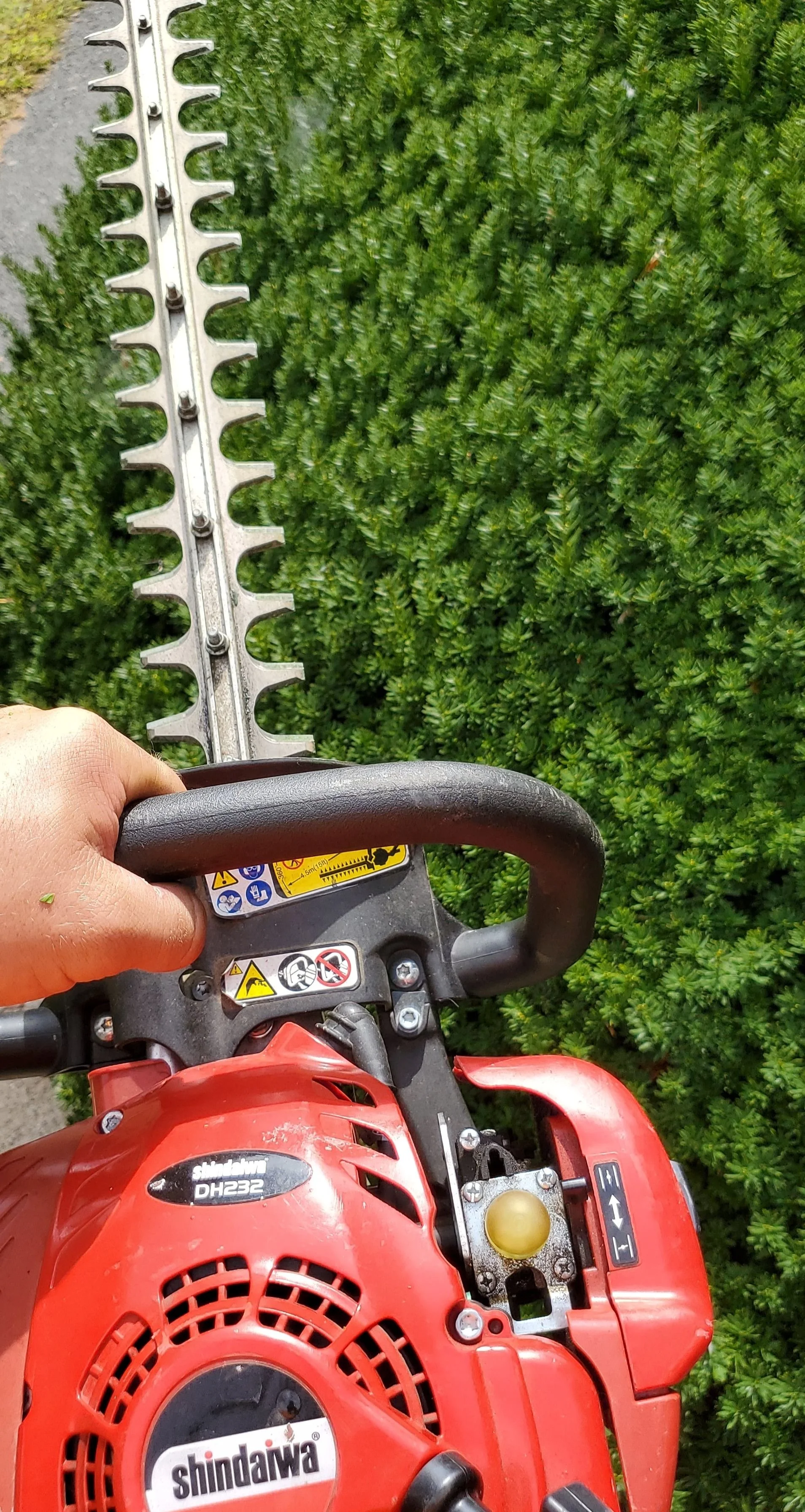 A person holding a red Shindaiwa hedge trimmer with a black handle and a yellow safety switch, cutting through dense green bushes.