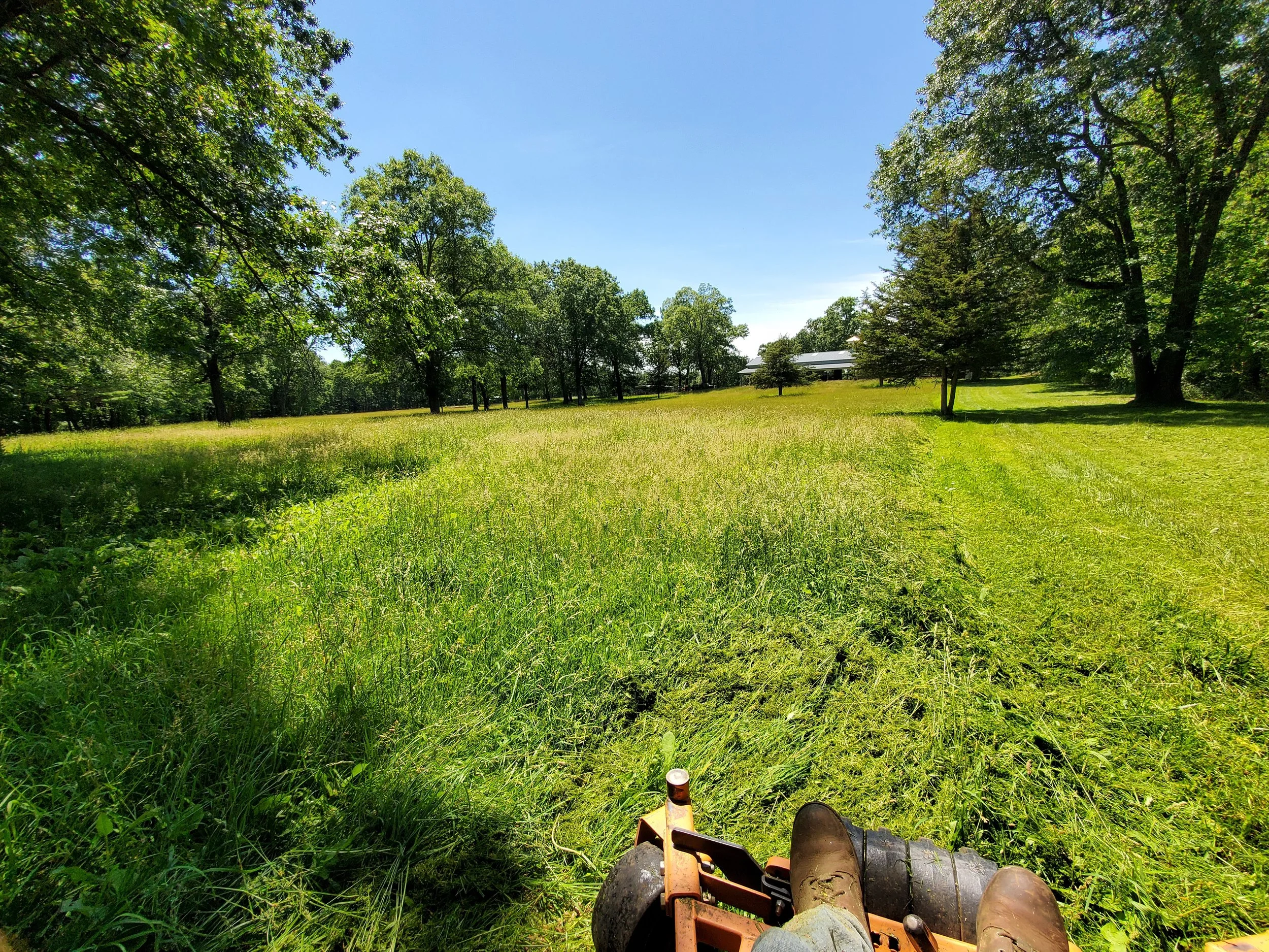 Person sitting on a lawnmower in a lush green field surrounded by trees on a sunny day.