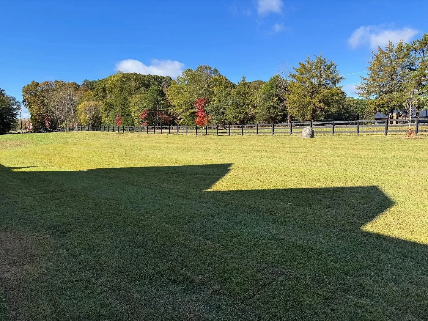 Fresh sod installation in large field surrounded by a wooden fence and trees