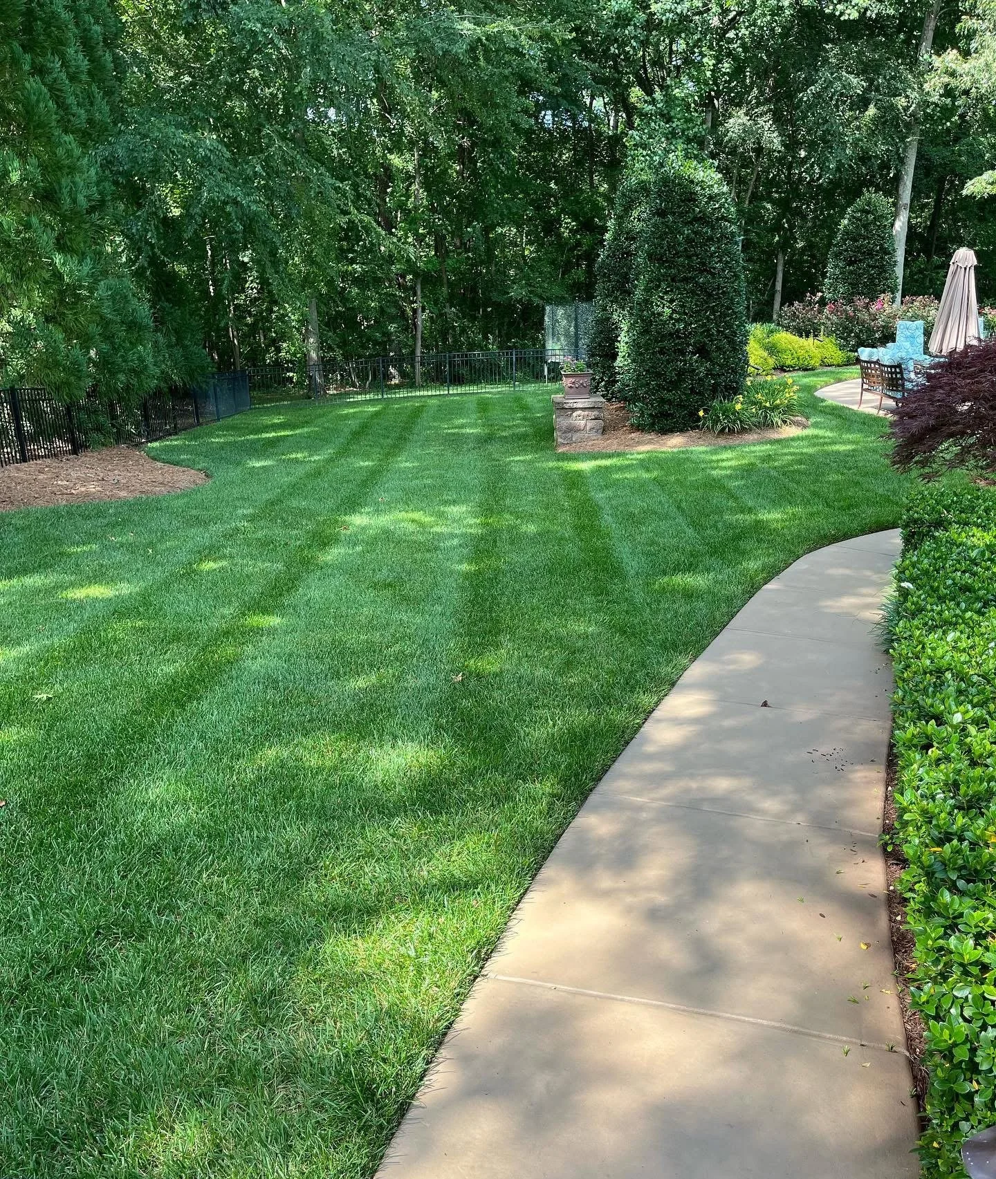 Back yard with dense lush grass and concrete walkway