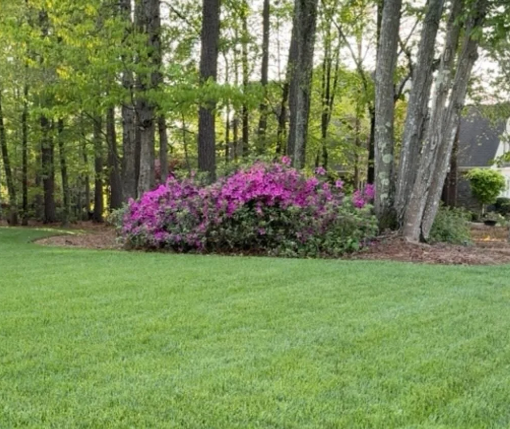 Spring Lawn Watering Guide for the Carolinas