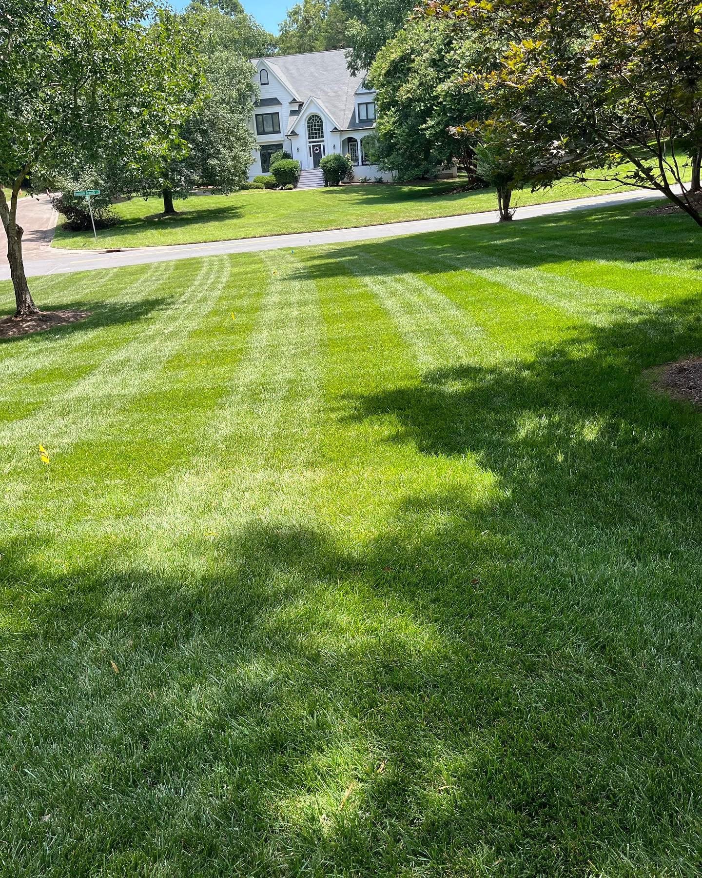 Freshly mowed and treated lawn
