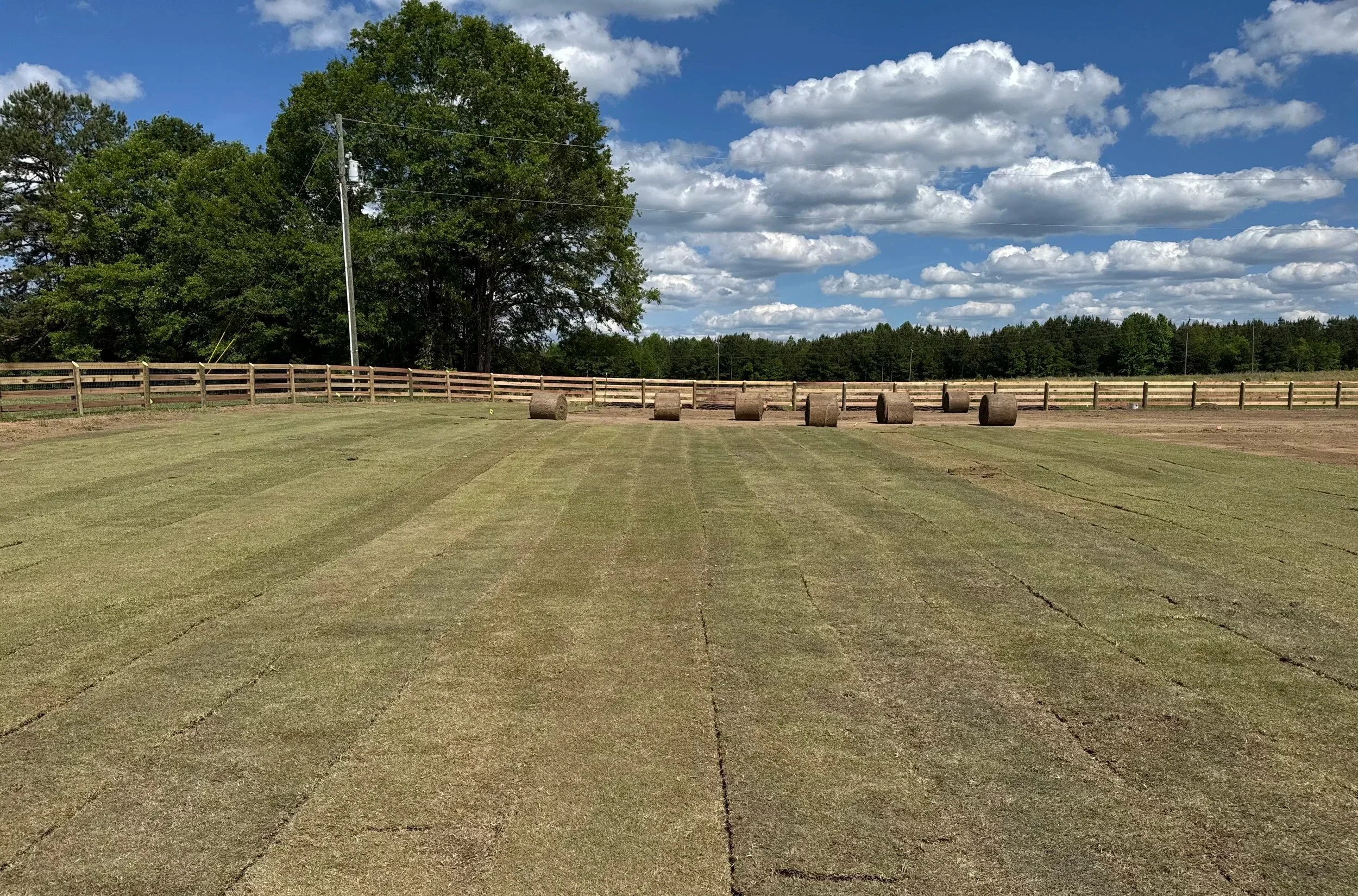 Freshly laid sod in large field with sod rolls surrounded by wooden fence 