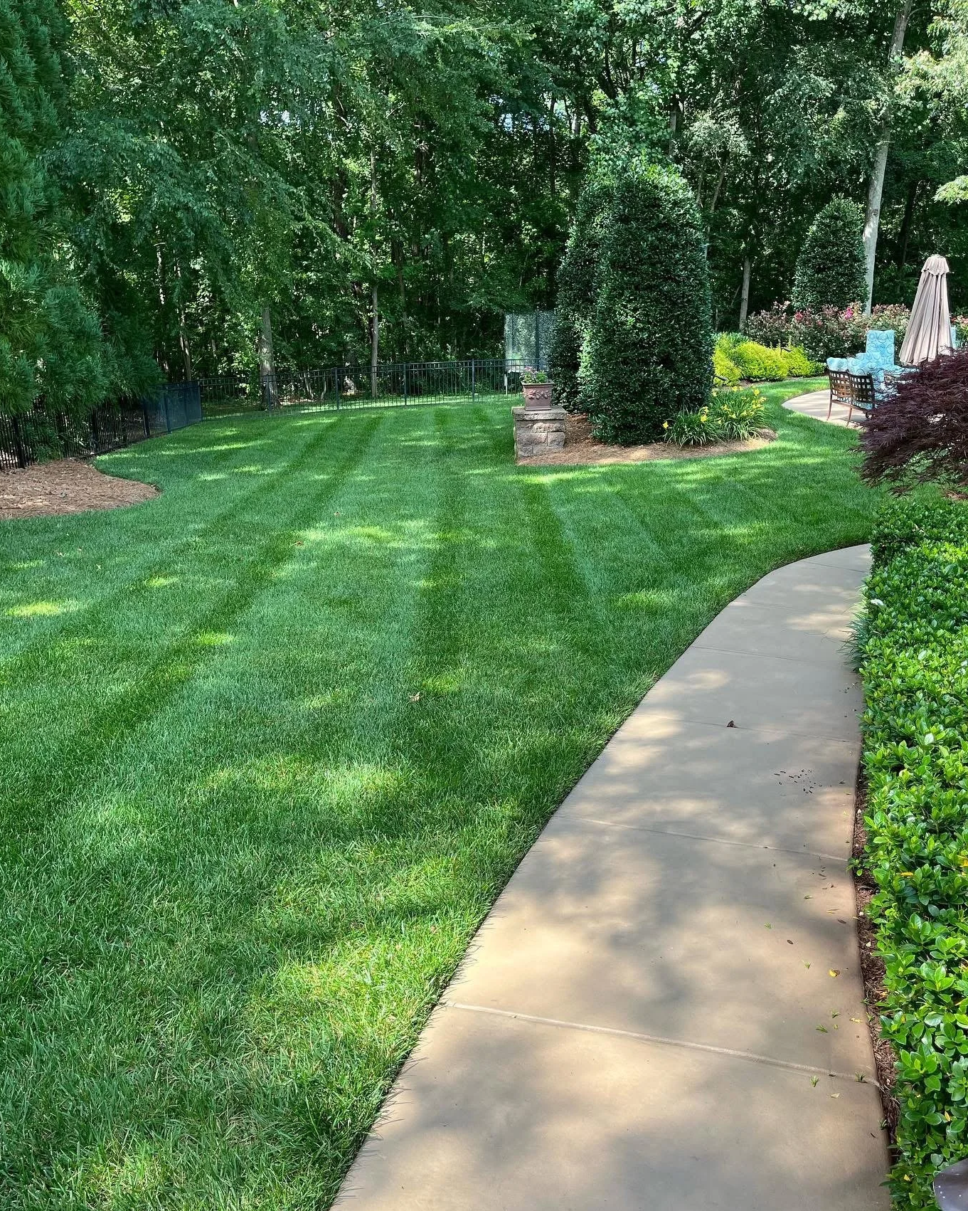 Healthy green zoysia grass and paved side walk