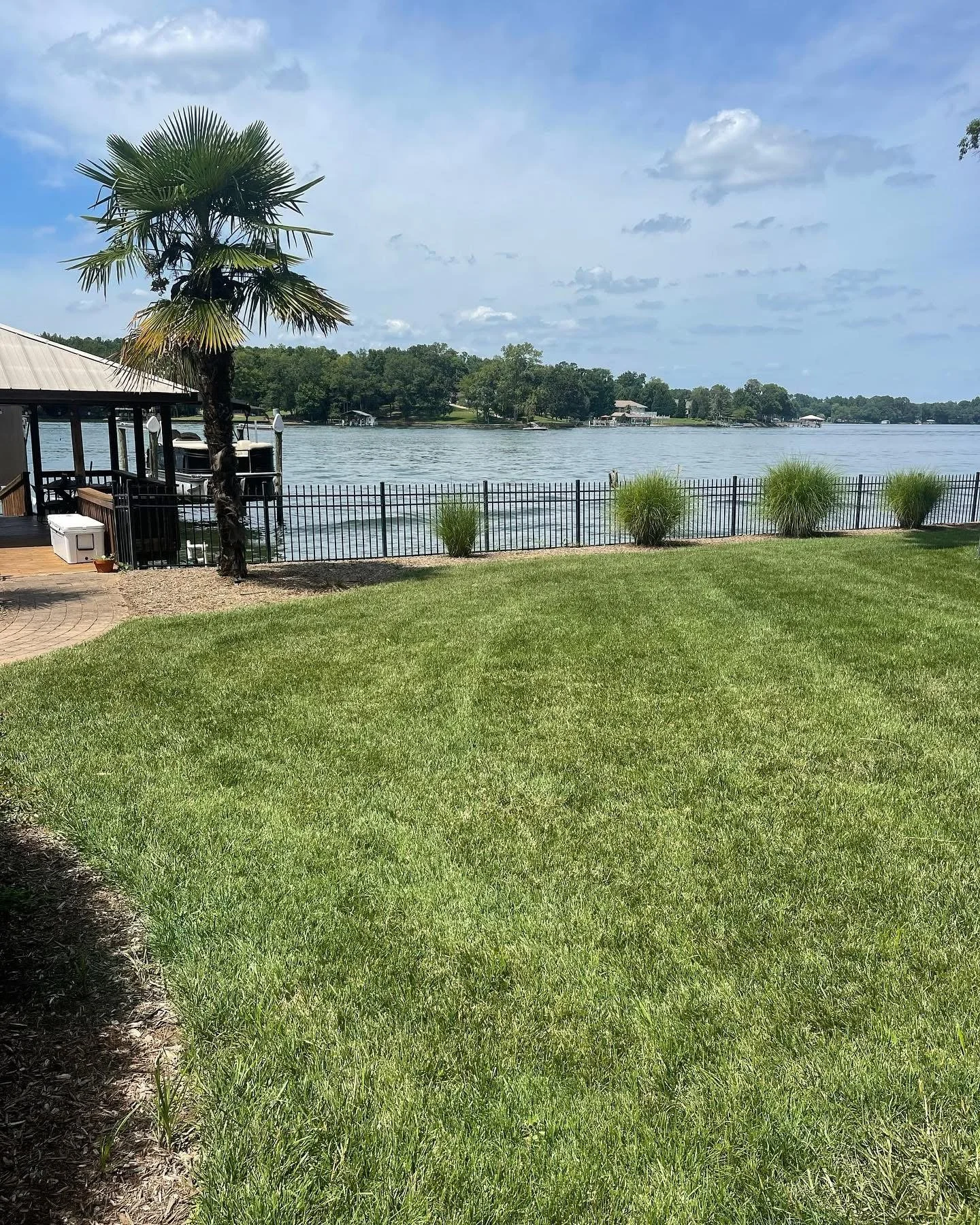 Lakefront property with thick green grass, palm tree, and ornamental shrubs