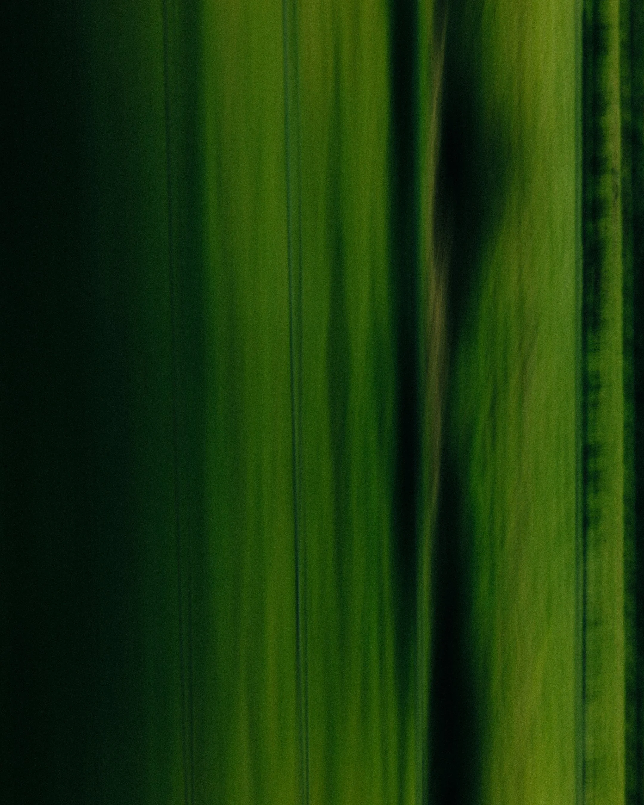GREEN .jpg