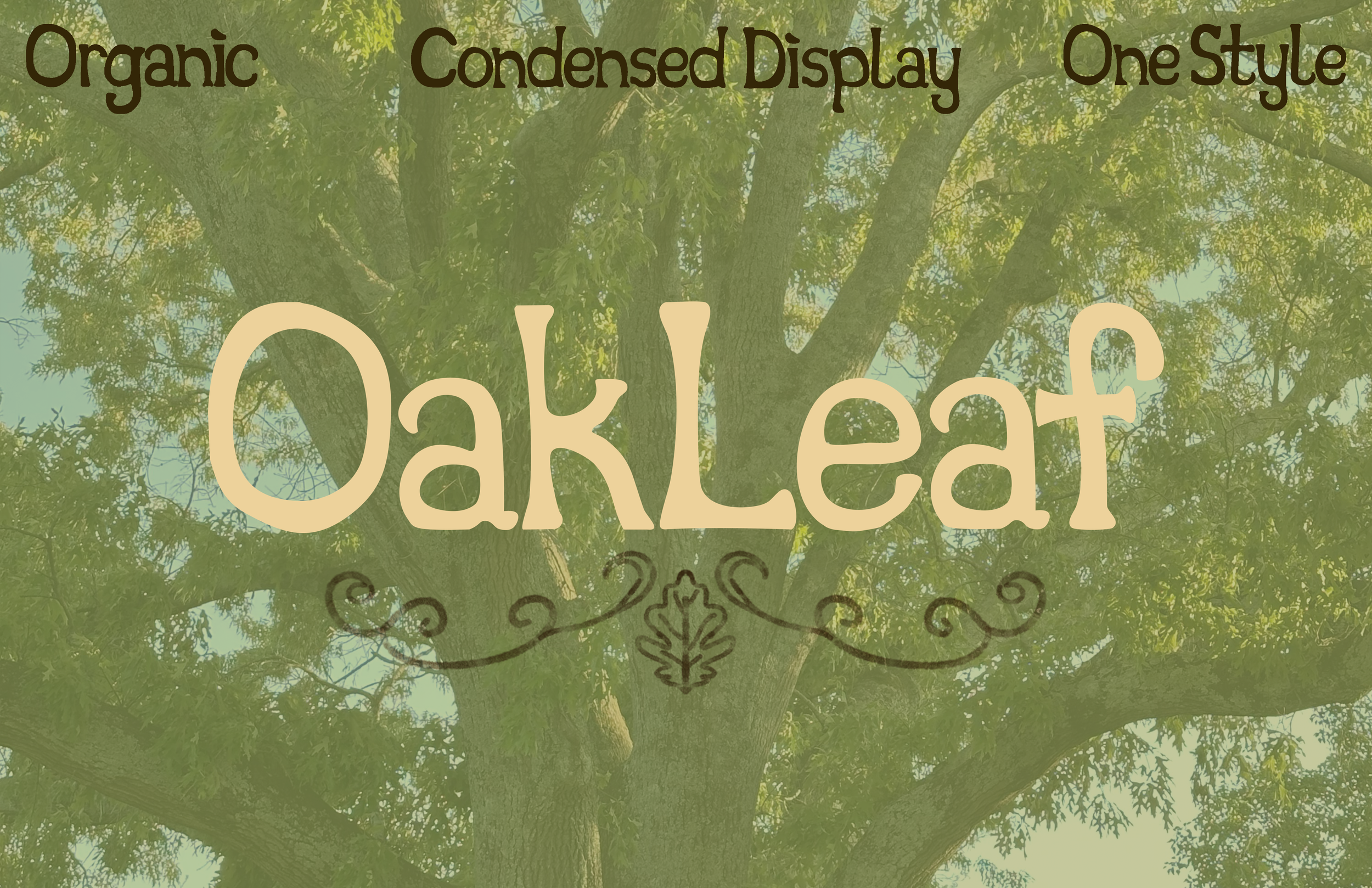 Oakleaf