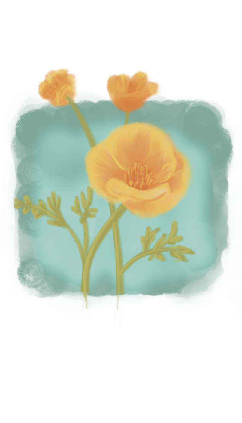 Untitled_Artwork 47.png