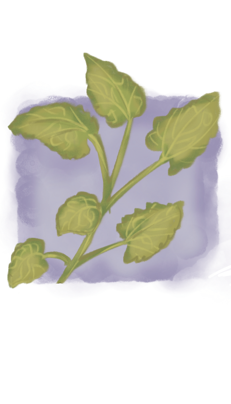 Untitled_Artwork 48.png