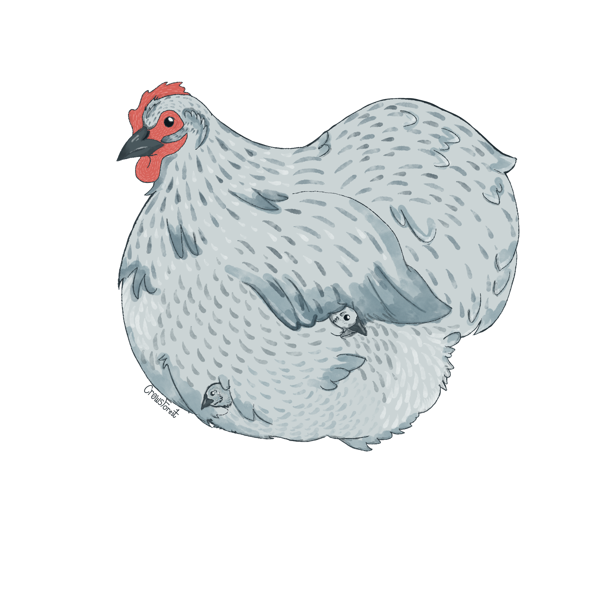 Fluffy_Chicken.png