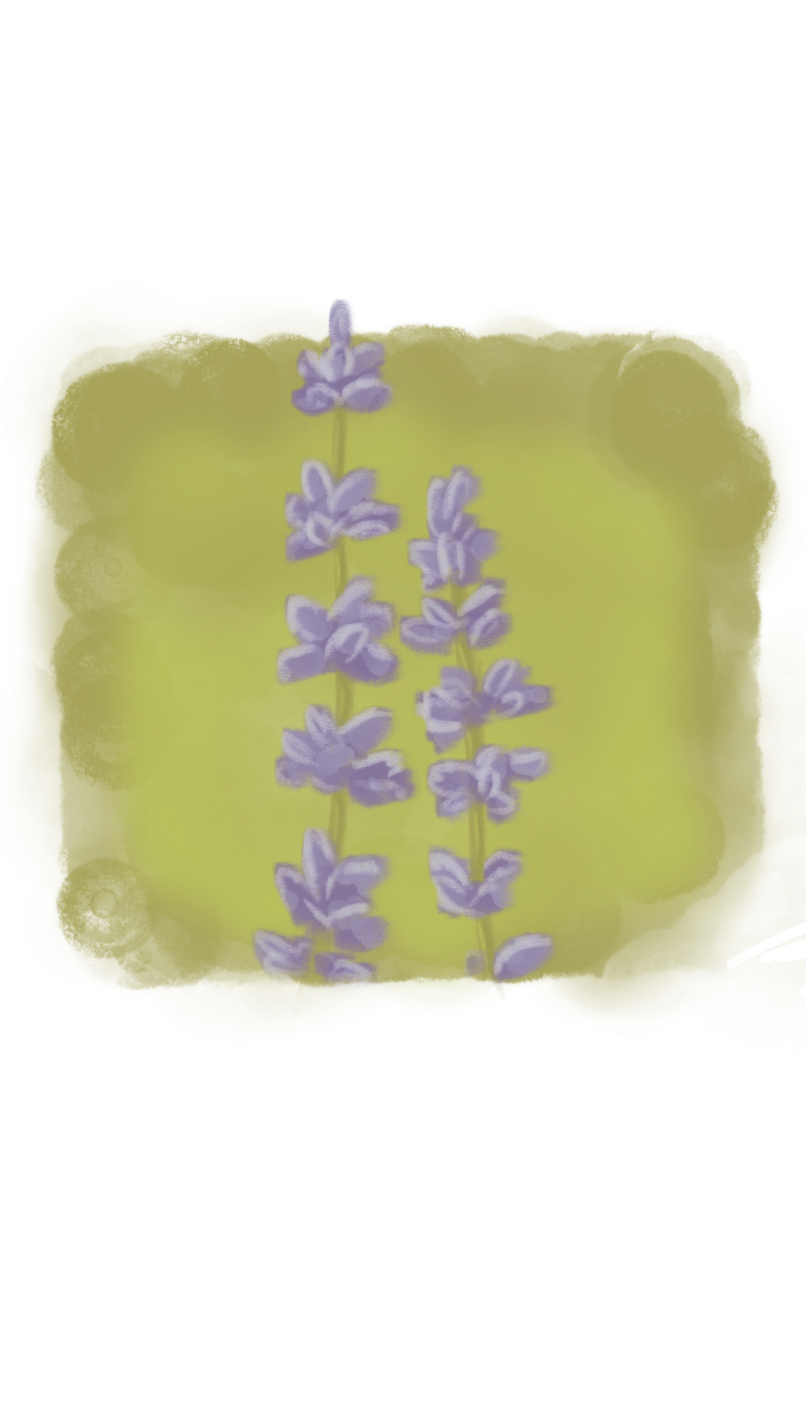 Untitled_Artwork 50.png