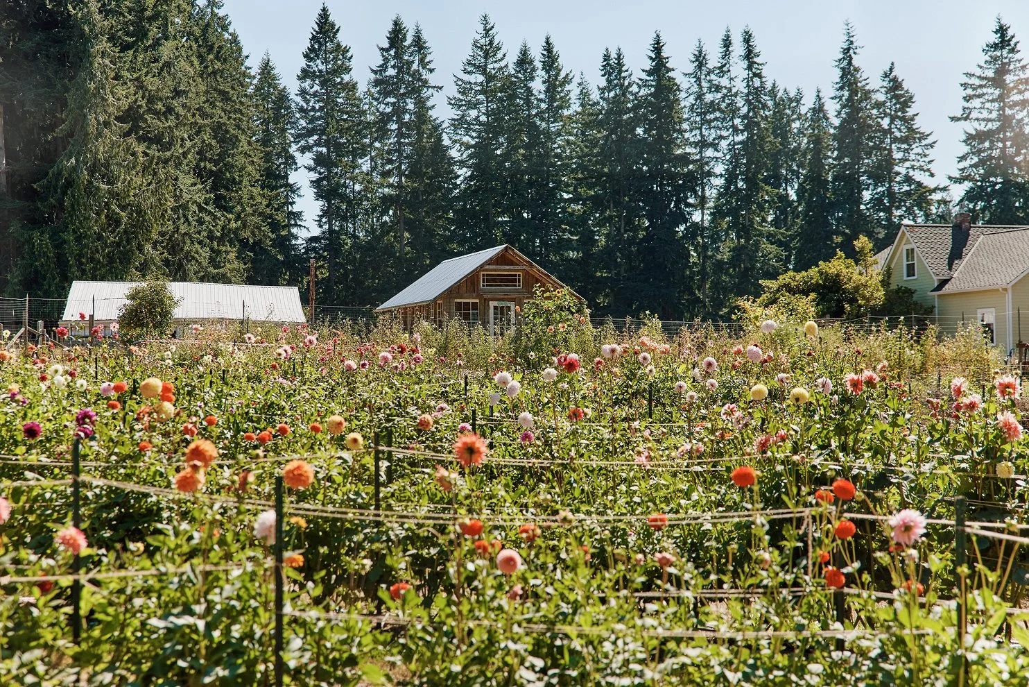 Inn_at_Langley_84 1.jpg