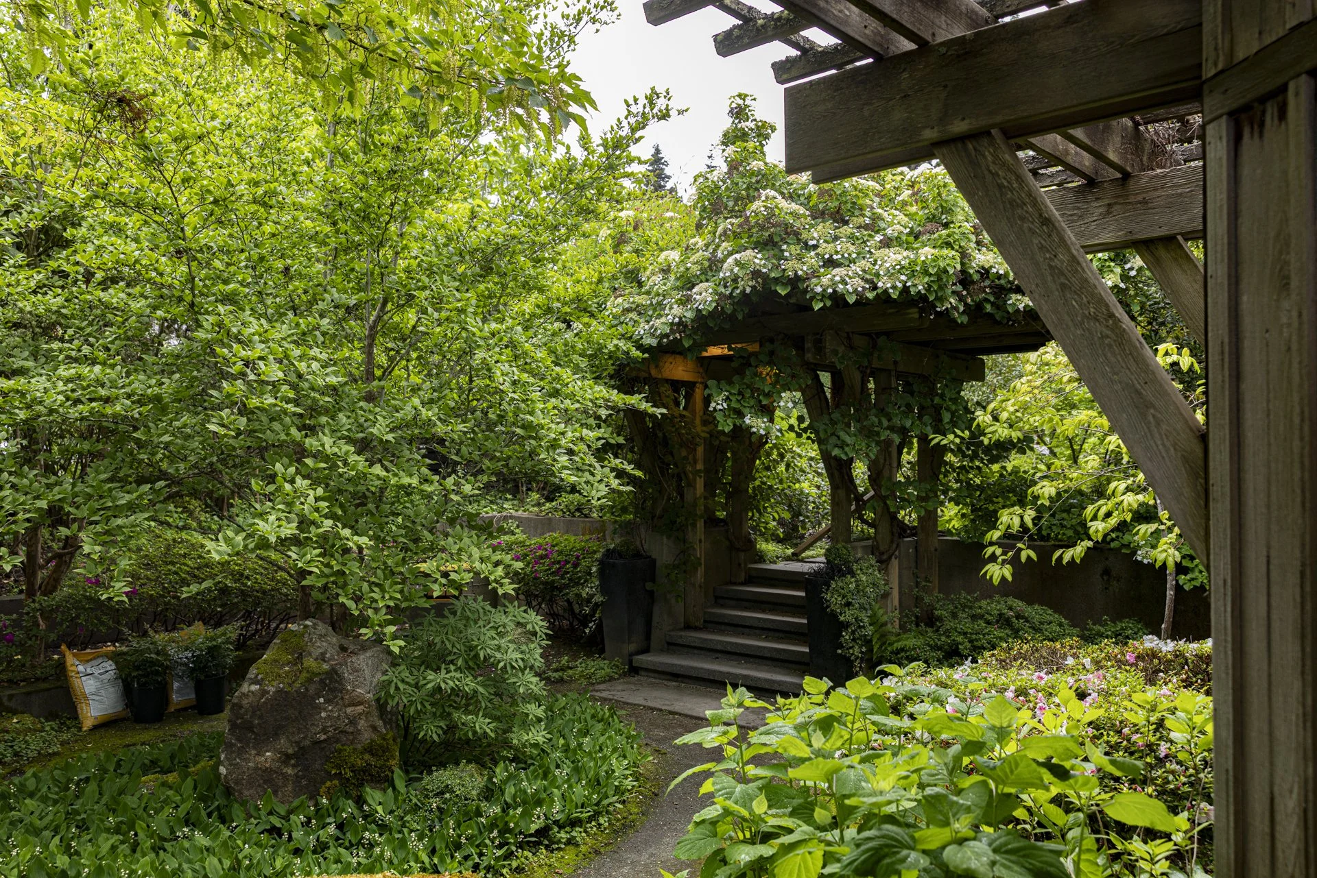 Cottage Courtyard.jpg