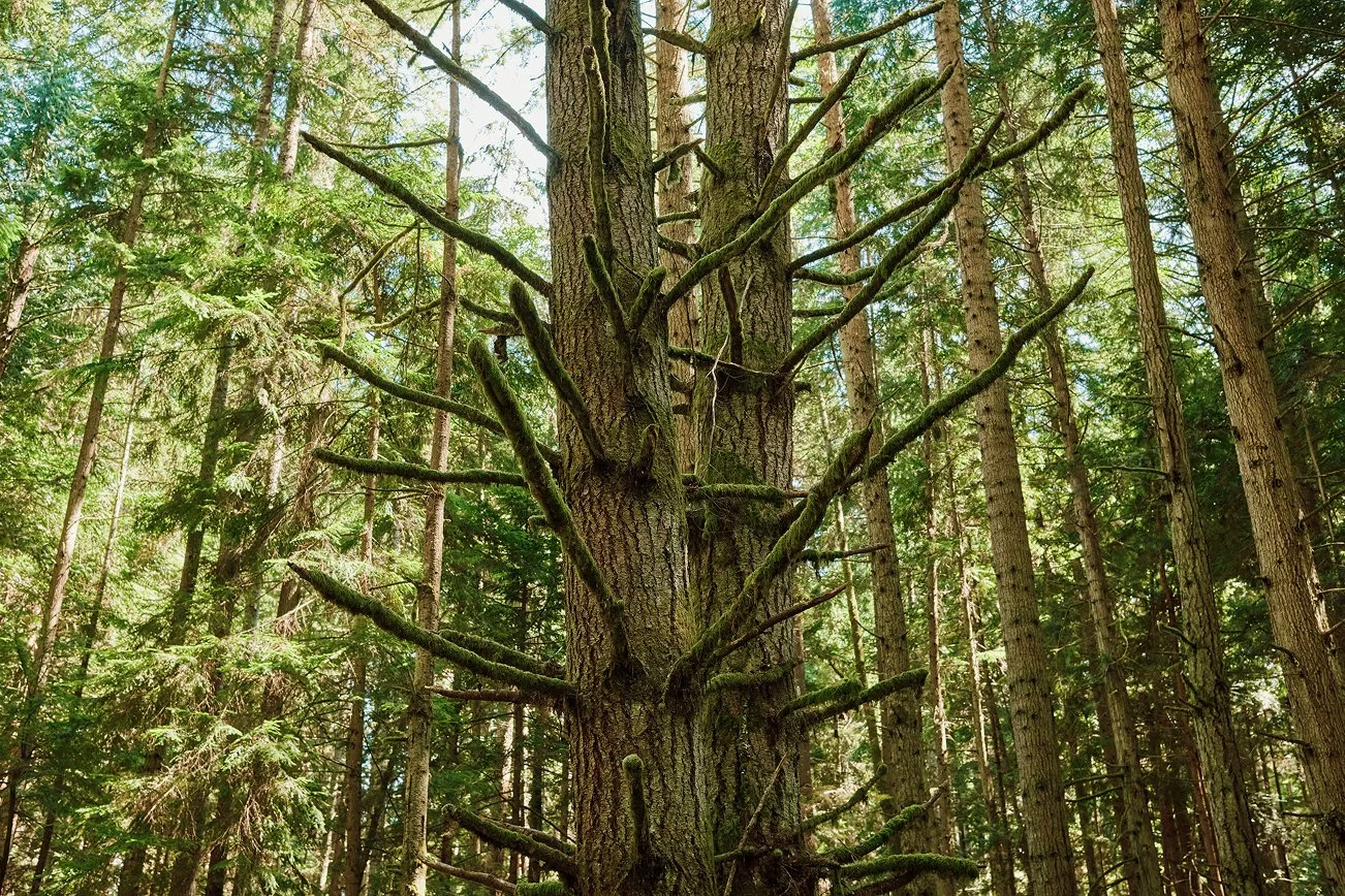 Inn_at_Langley_230 1.jpg