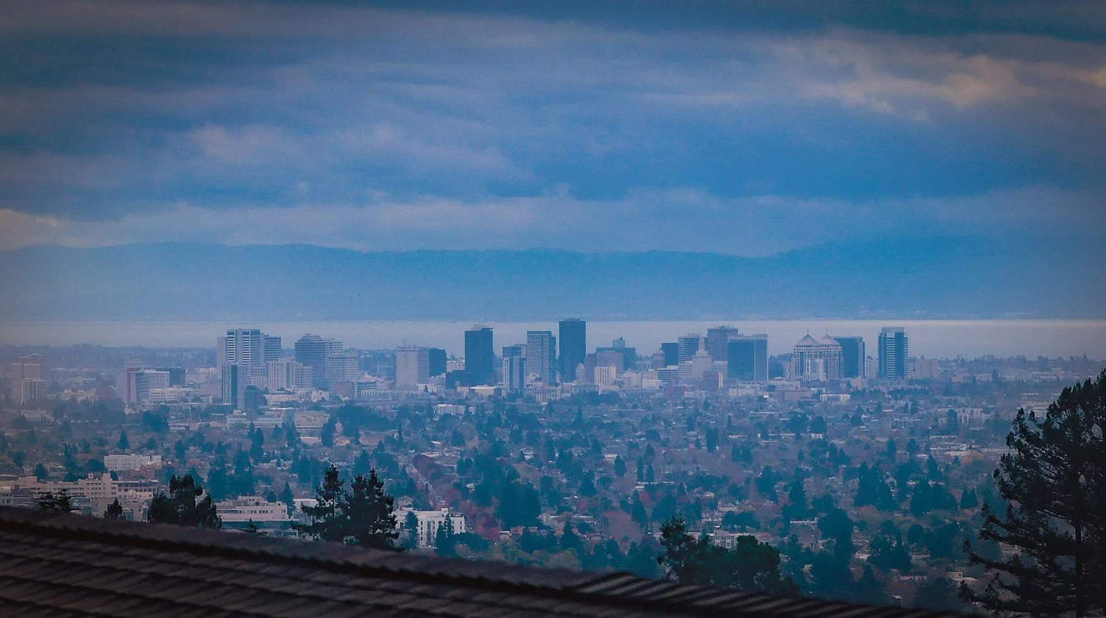 The Oakland skyline and San Francisco Bay stretch below green East Bay hills under a clear late-day sky.