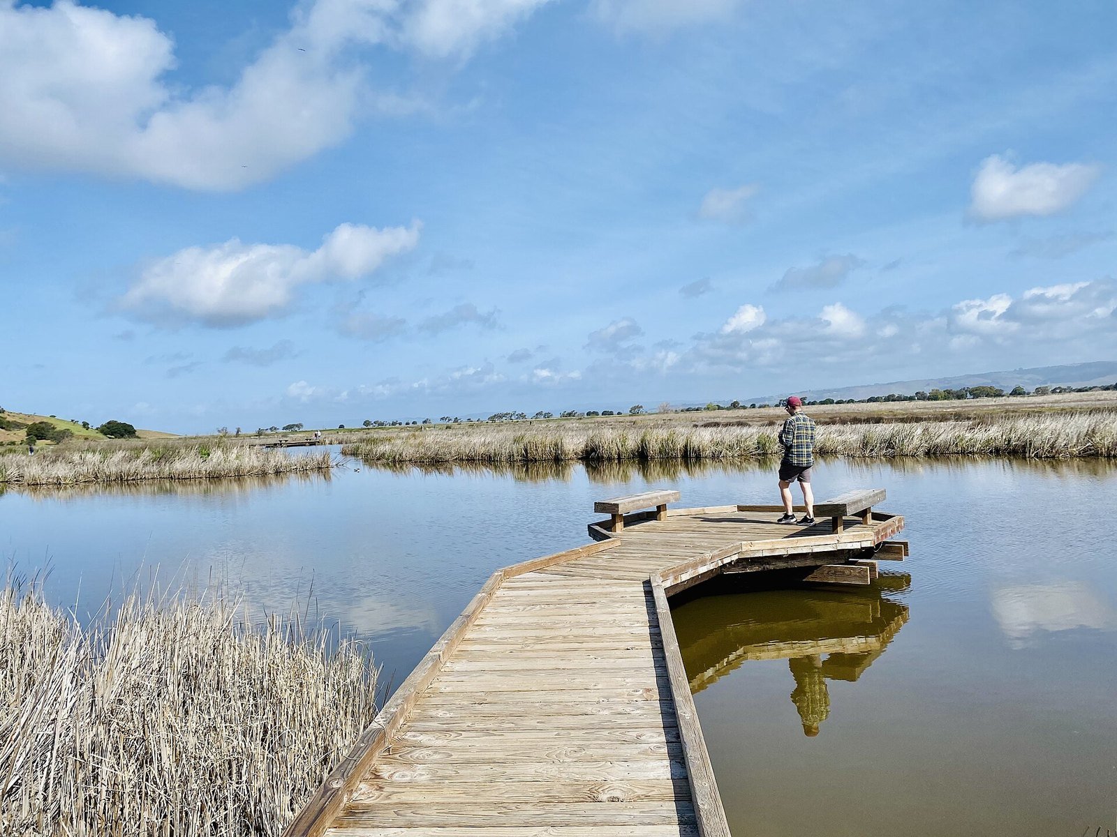 A wooden boardwalk extends into a calm slough lined with tan reeds at Coyote Hills Regional Park, where a visitor stands under a blue sky.