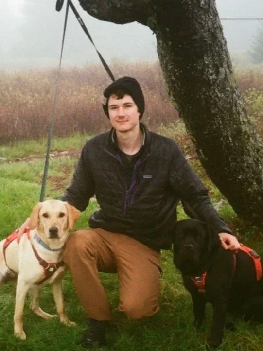 A young man kneeling outdoors with two dogs, one yellow and one black, near a tree on a foggy day.