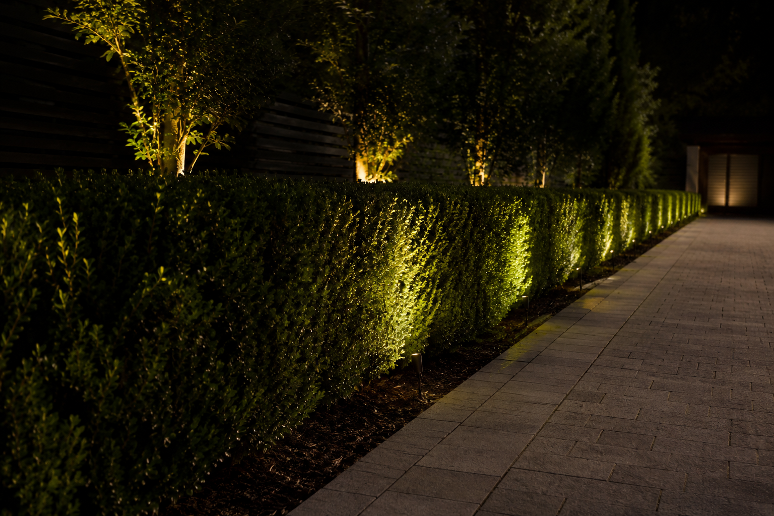 Nighttime outdoor scene with a well-trimmed hedge illuminated by landscape lighting along a paved walkway.