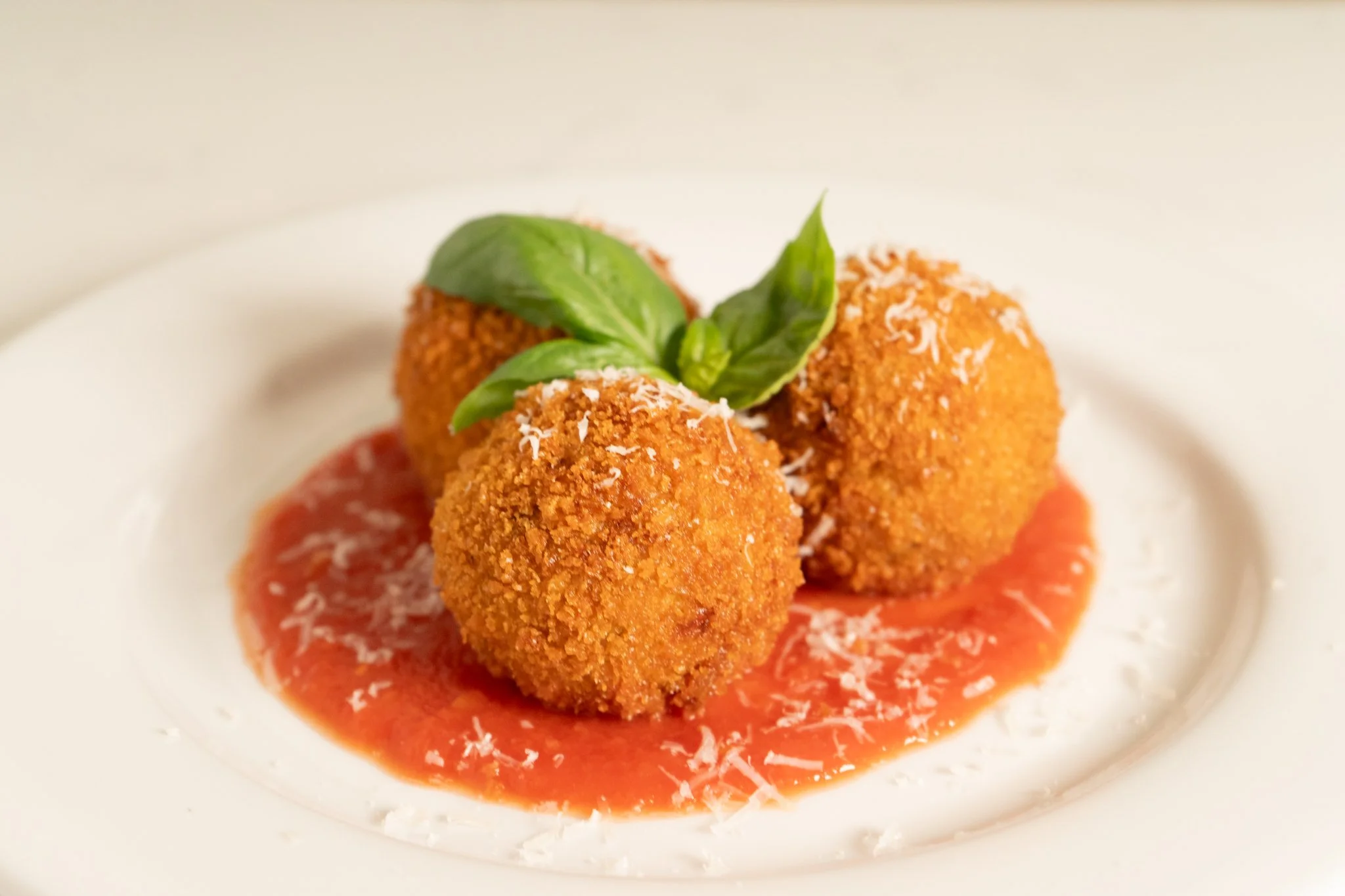 ARANCINI_Detail.jpg