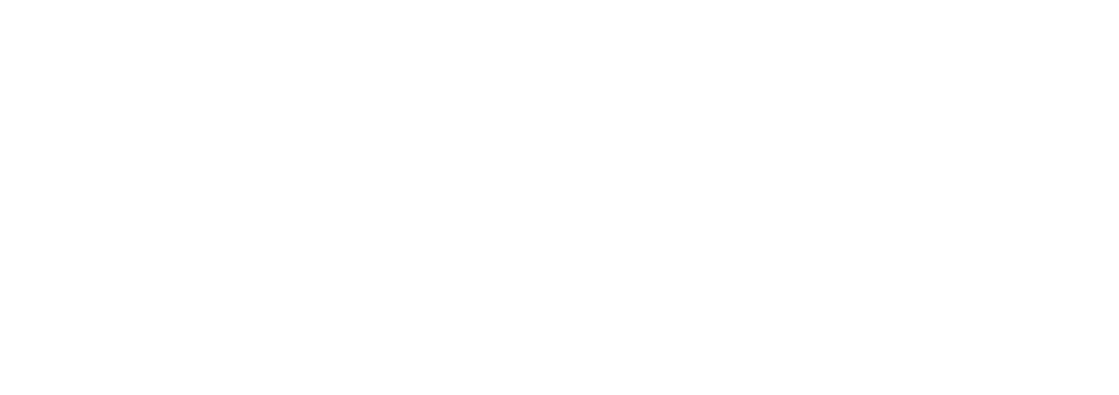 Vote Marcia Masulla for Tennessee Democrats Executive Committee - District 19