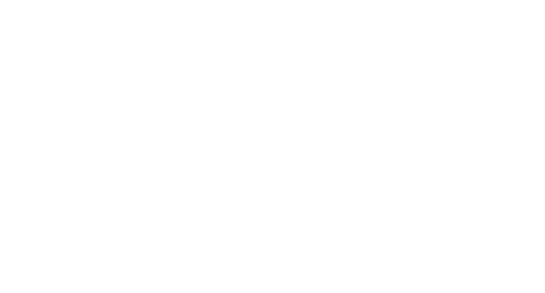 Vote Marcia Masulla for Tennessee Democrats Executive Committee - District 19