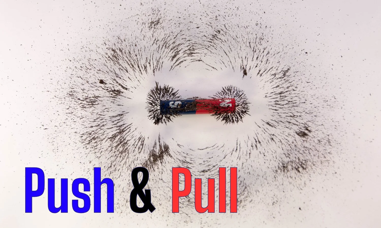 Push & Pull Logo.jpg