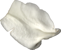Yewscript