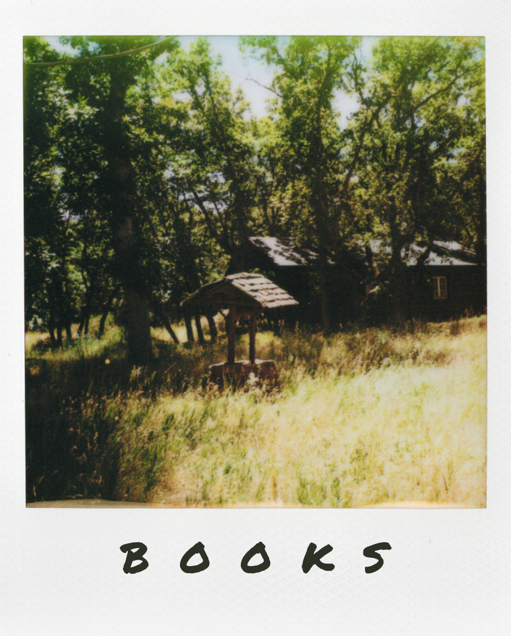 Polaroid of Well