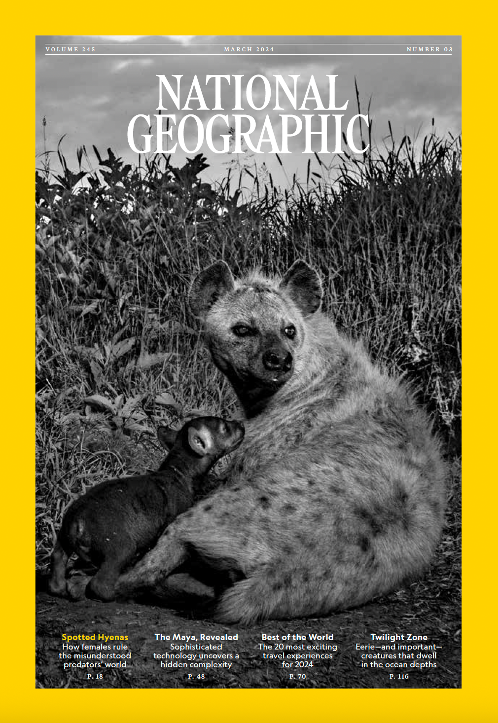 National Geographic—I held several roles on the monthly magazine, first coordinating the travel departments, then acting as deputy managing editor for short form, and later becoming editorial manager for multiplatform content. I oversaw departments a