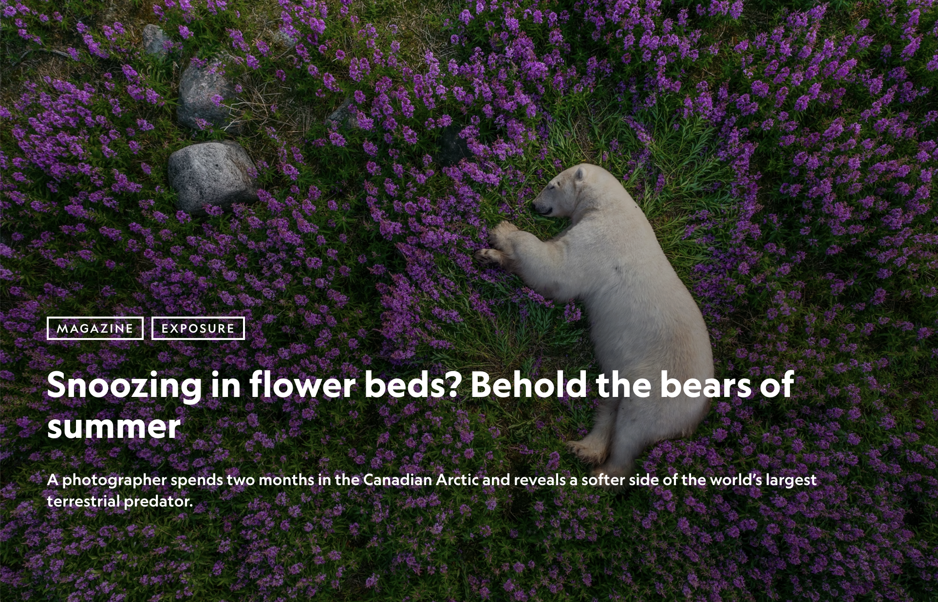 Screenshot 2026-01-28 at 6.06.56 PM.png