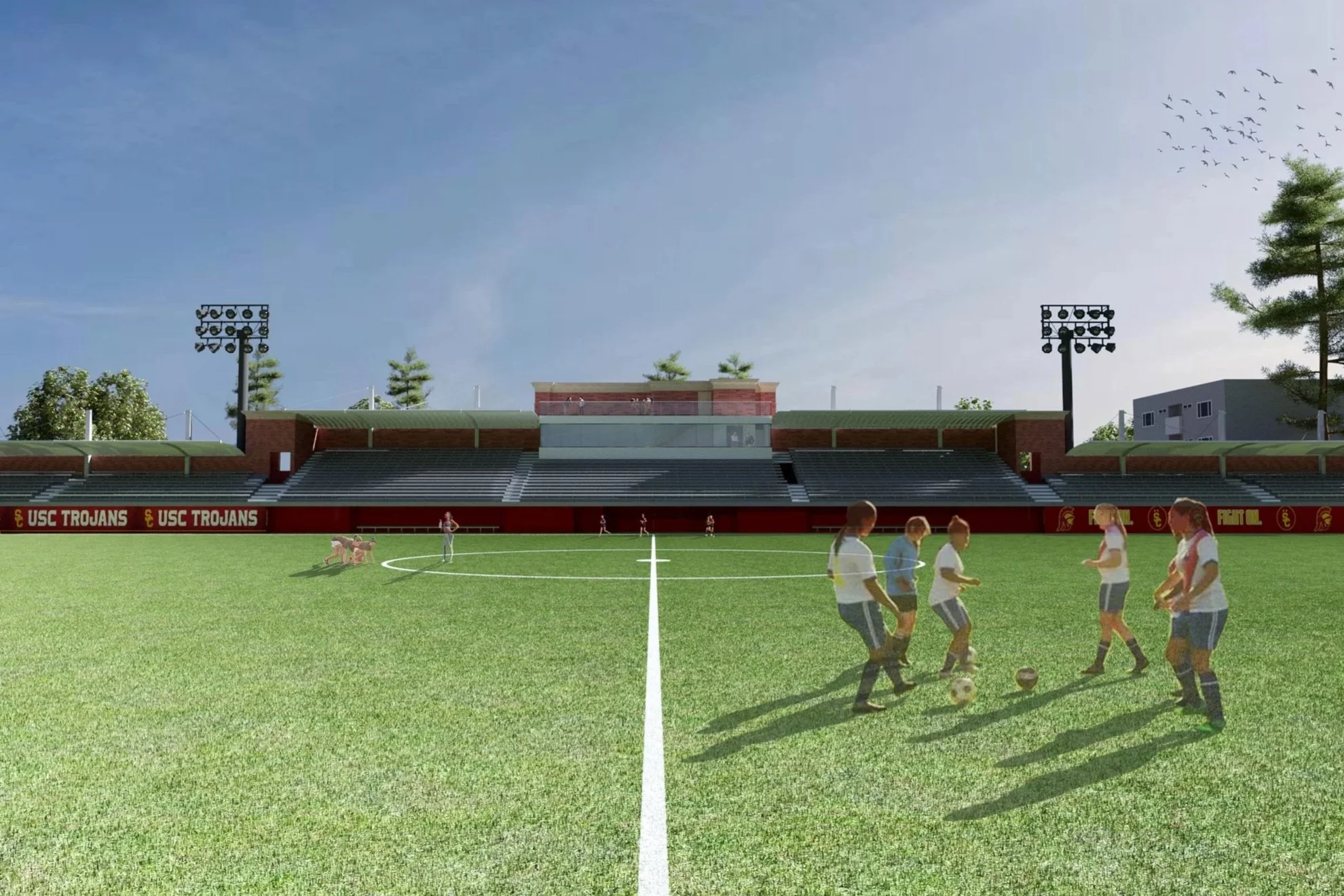 Ground Level Stadium View