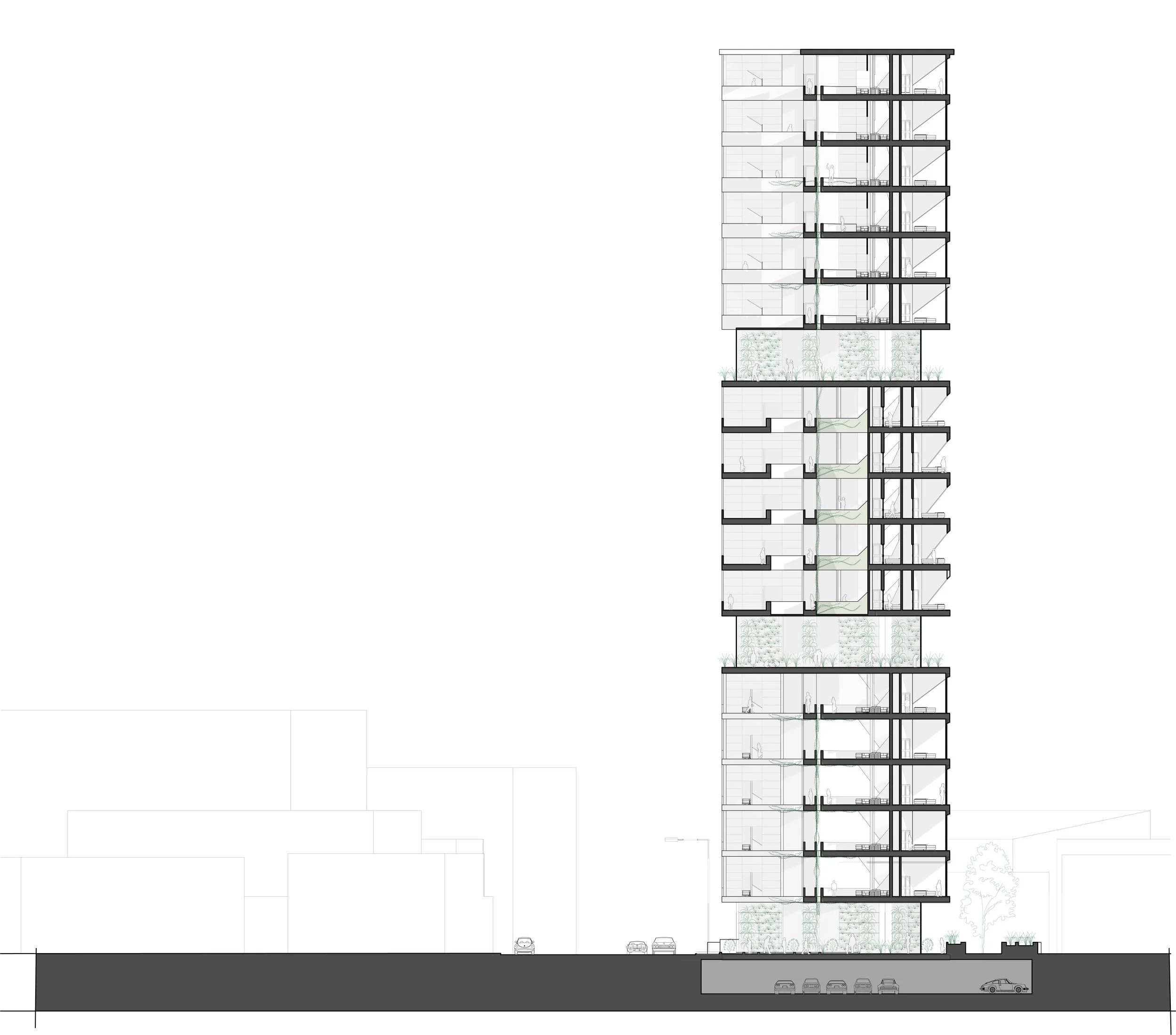 Line Drawing - Section 1.jpg