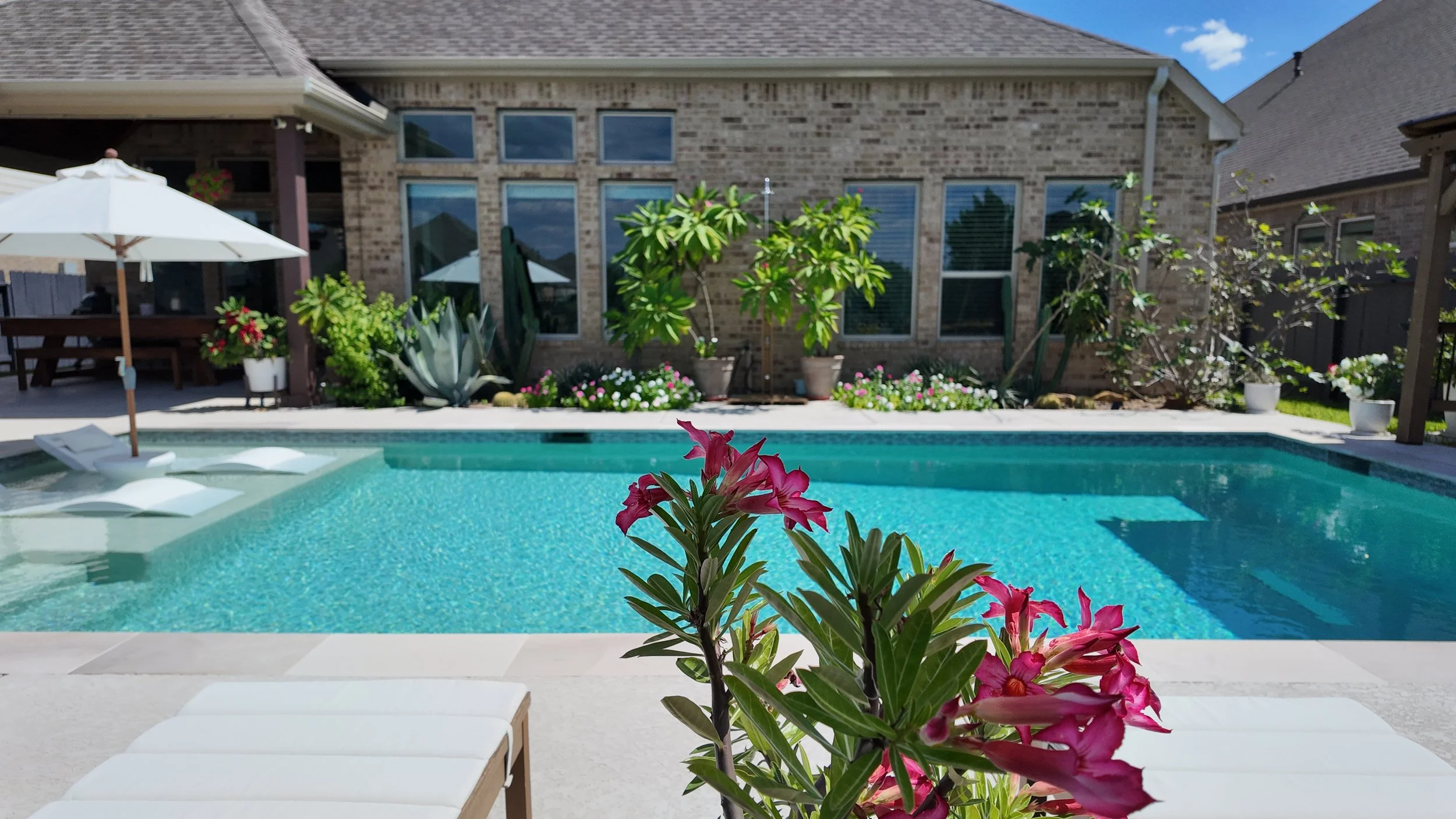 Backyard with swimming pool, pink flowers in foreground, patio furniture, umbrella, and house with large windows in the background.