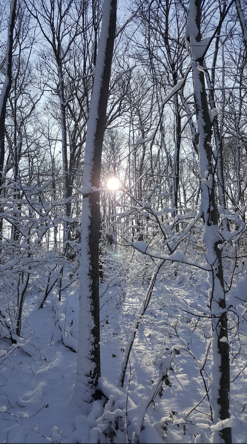 A Message from Glenn – Gates Ridge Civic Association