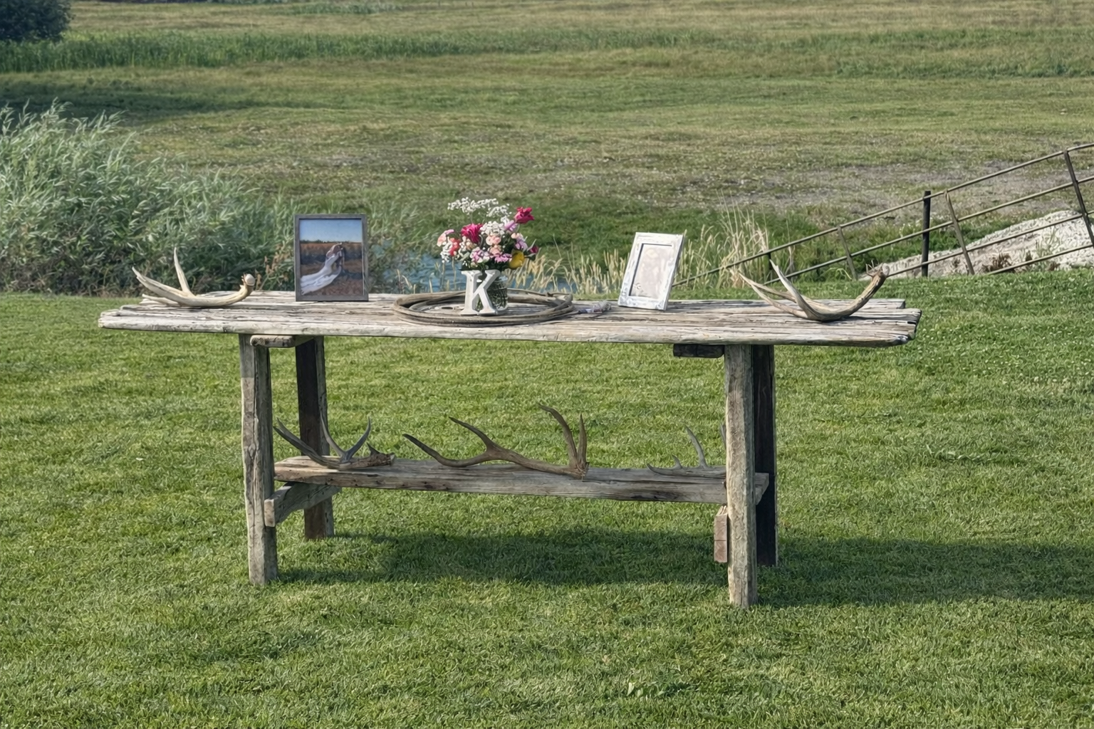 Assorted Antler Sheds
