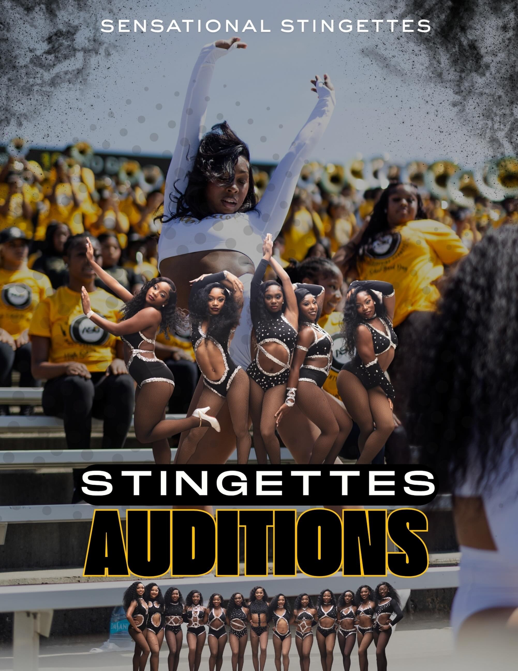 Alabama State University Stingettes Auditions