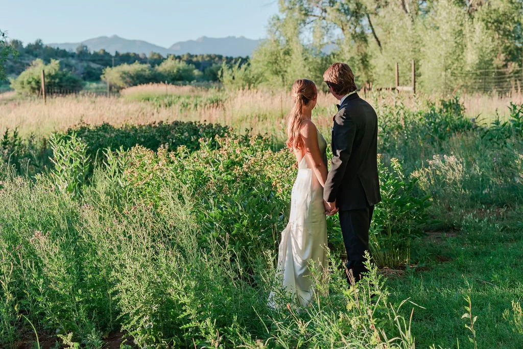 Mountain Formal Wedding Hesperus, CO